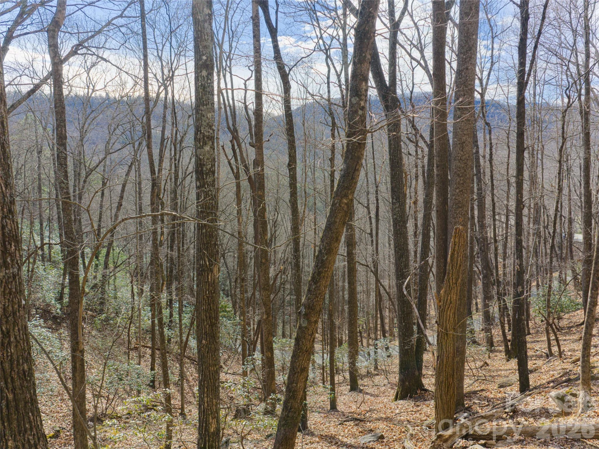 40 Cedar Drive - Photo 15