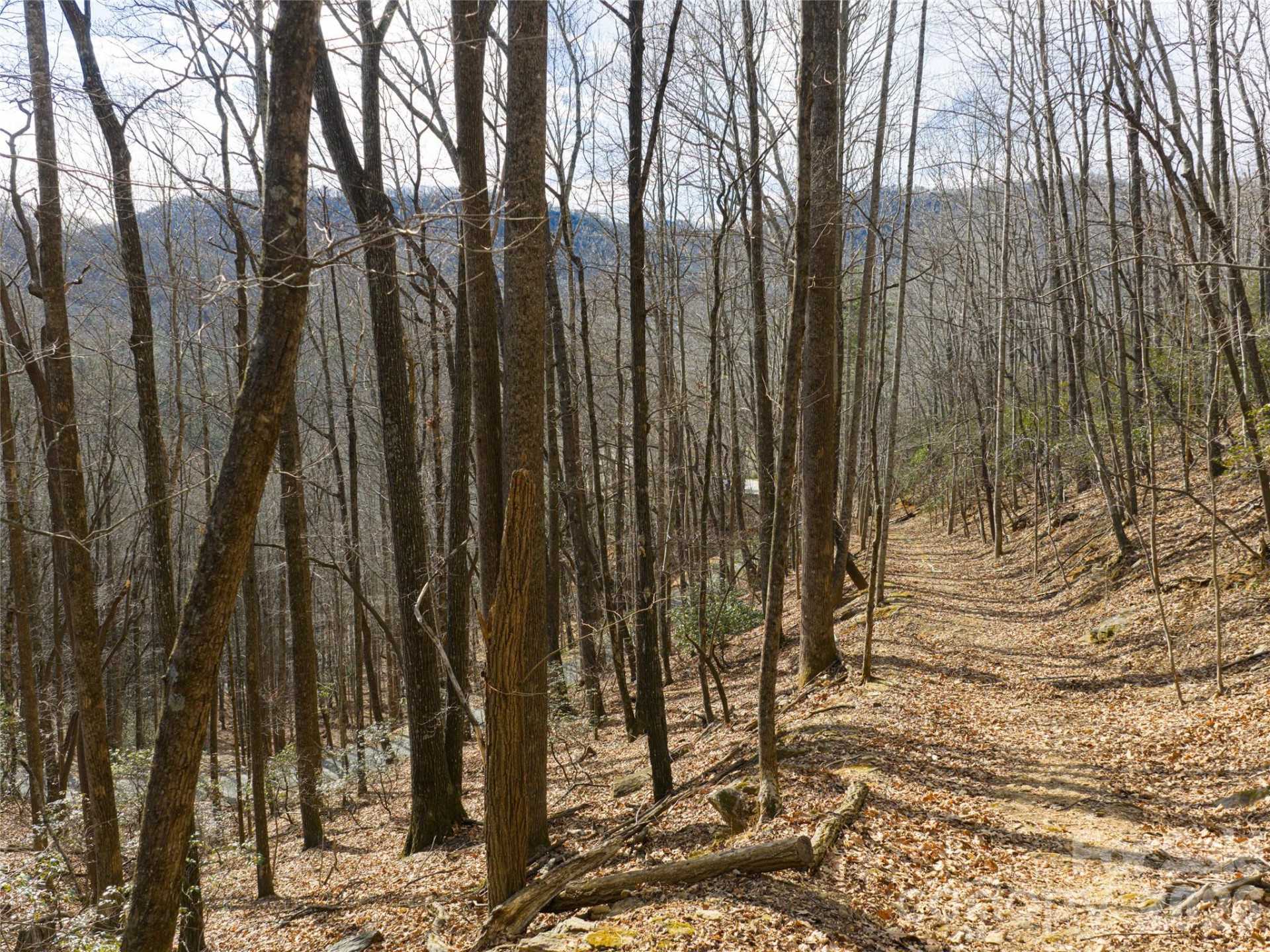 40 Cedar Drive - Photo 16