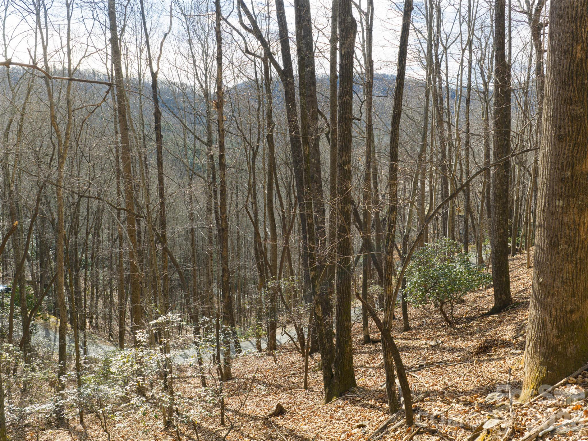 40 Cedar Drive - Photo 17