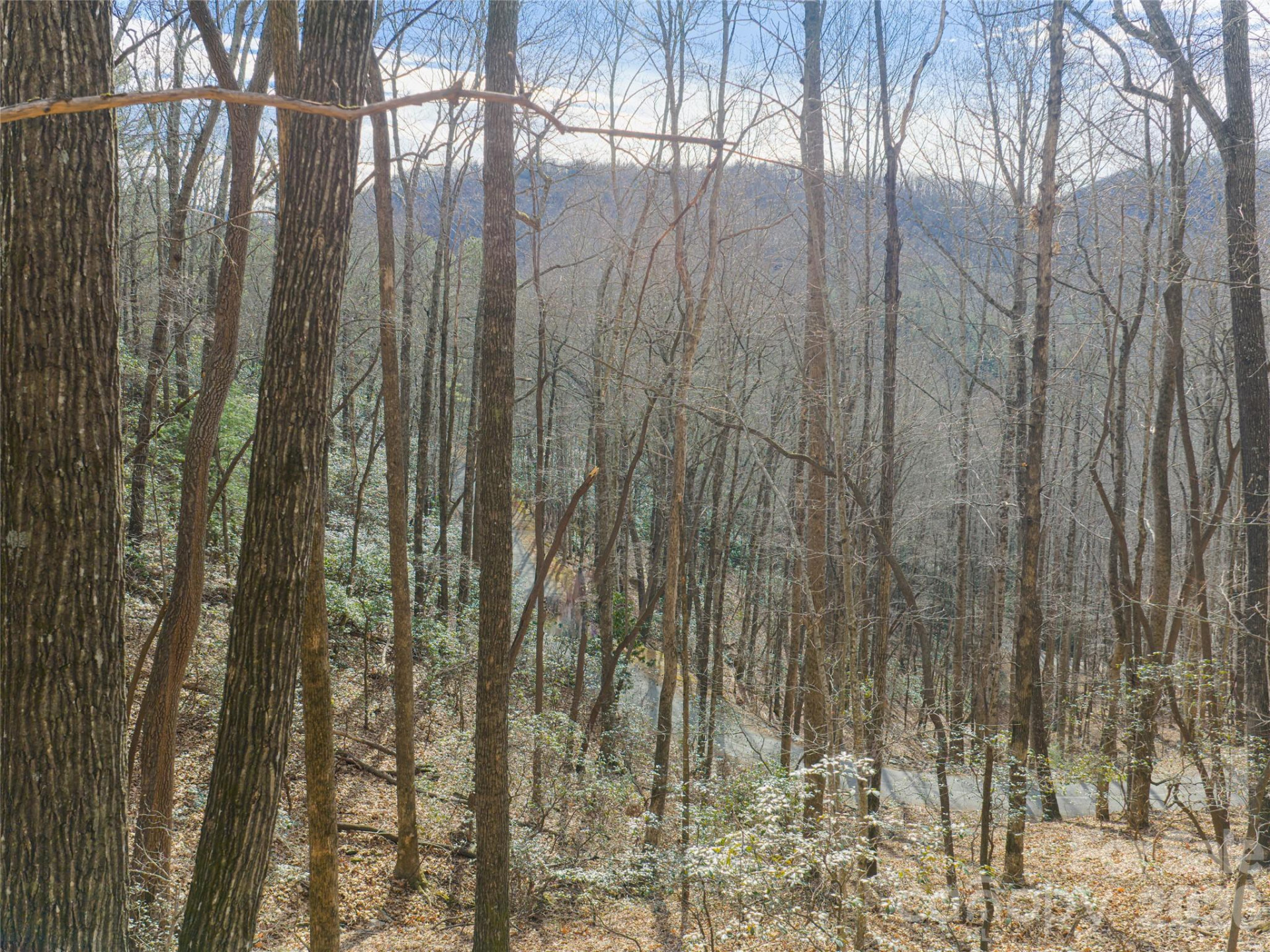 40 Cedar Drive - Photo 18