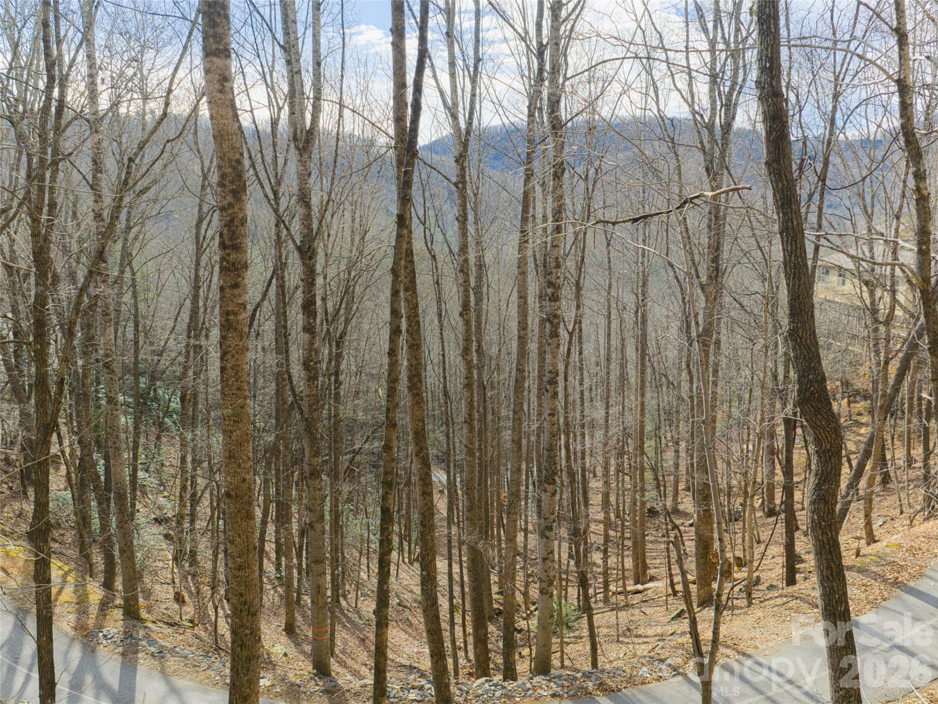 40 Cedar Drive - Photo 19