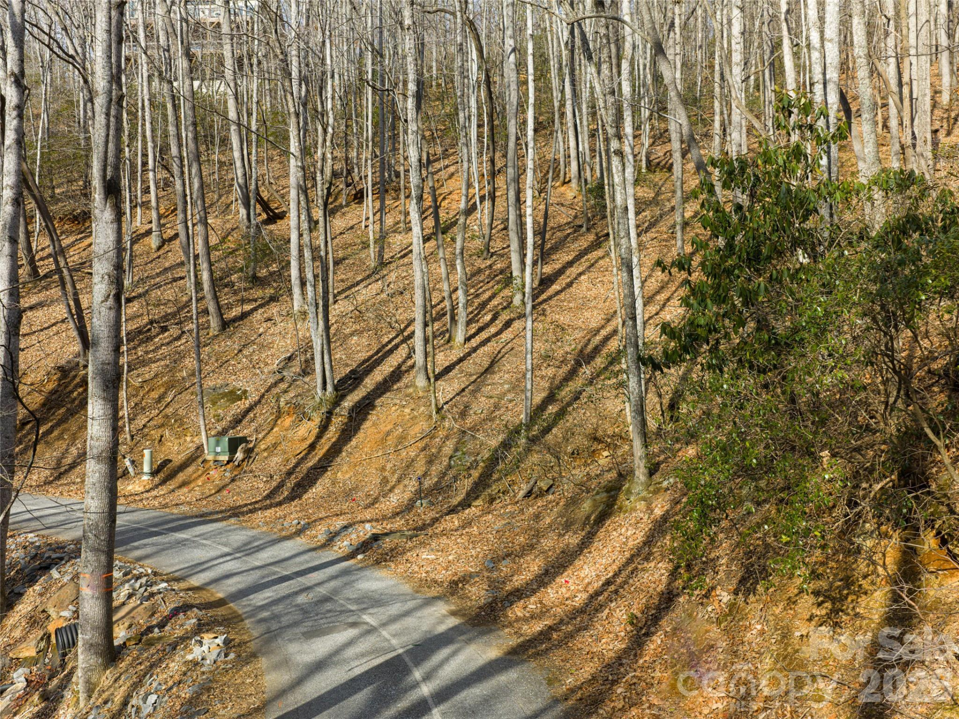 40 Cedar Drive - Photo 20