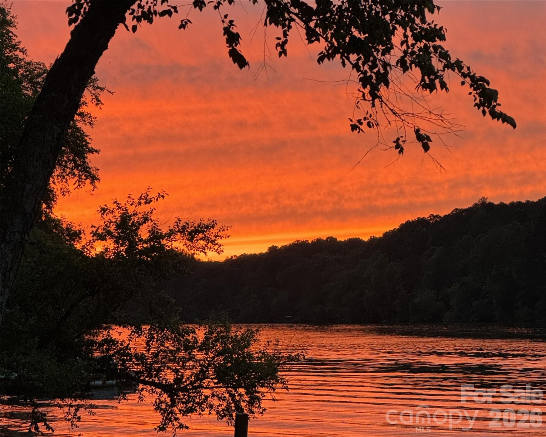 1800 Hilferty Road - Photo 2