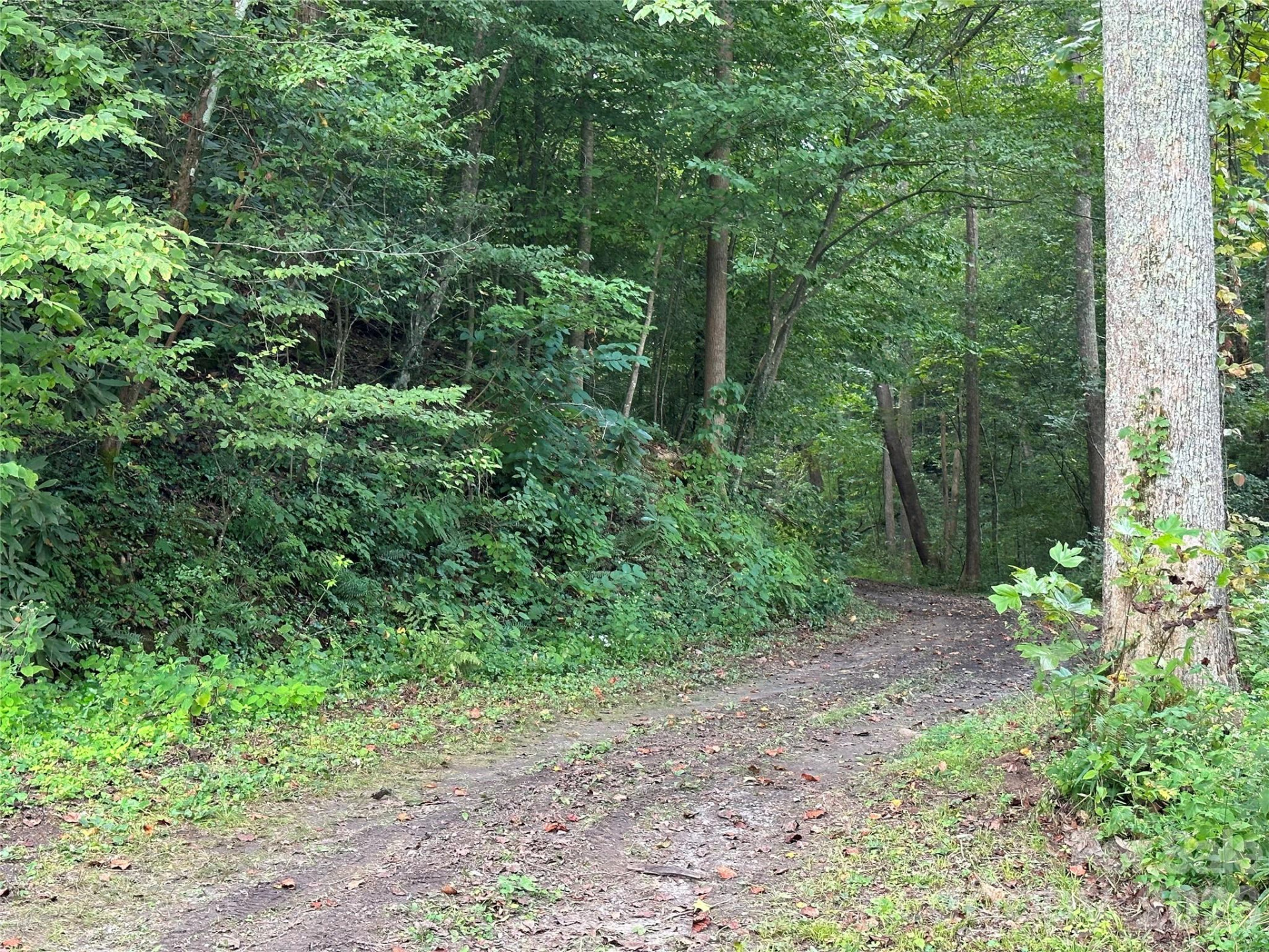 1800 Hilferty Road - Photo 11