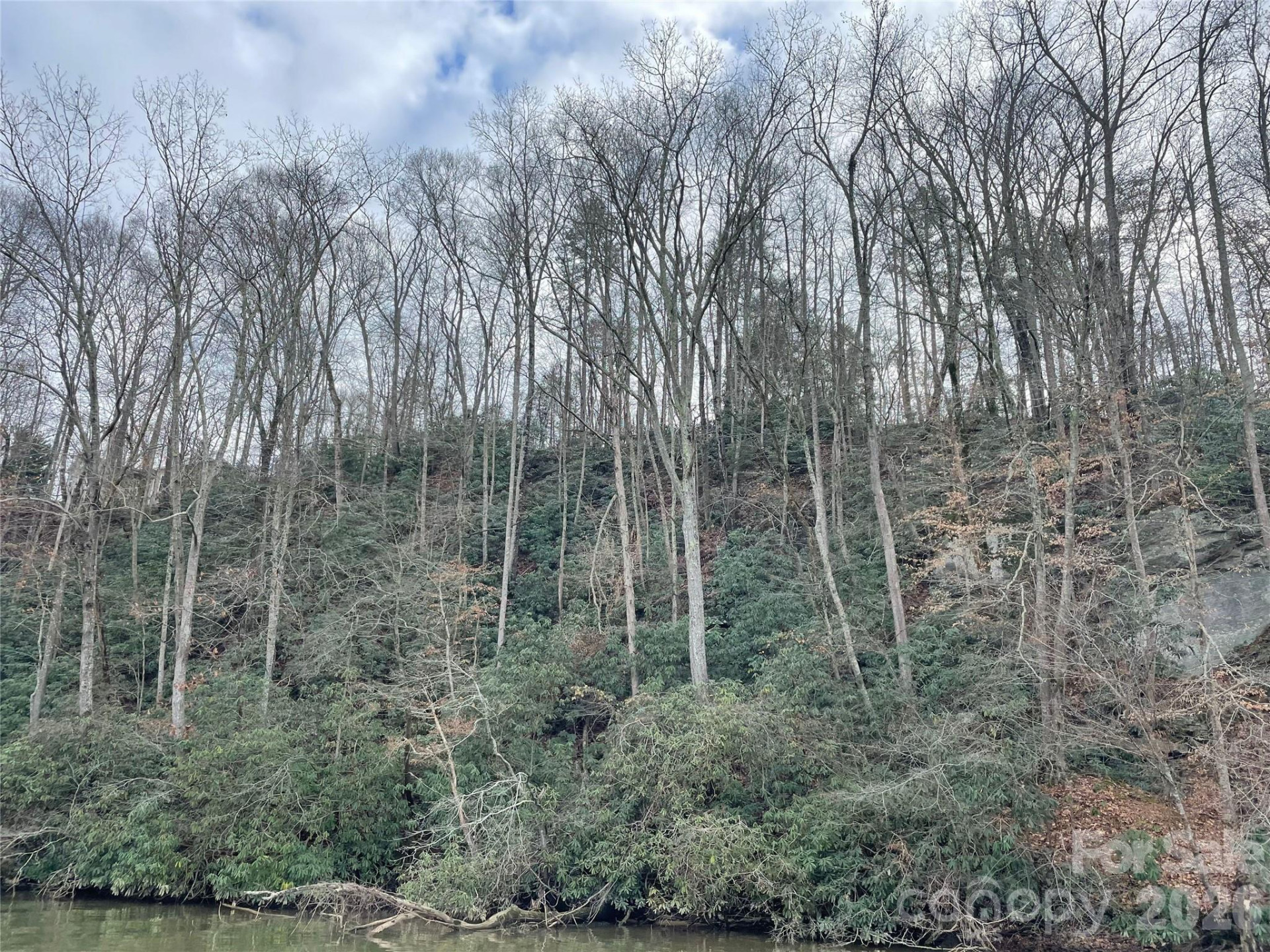 1800 Hilferty Road - Photo 13