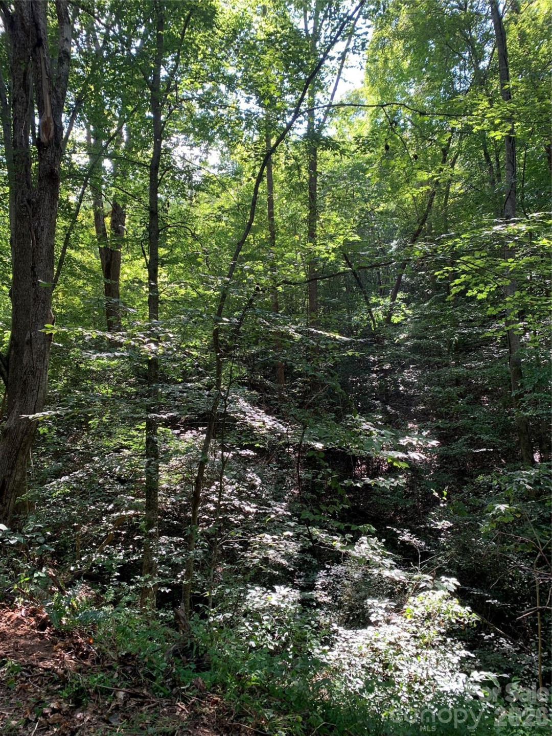 1800 Hilferty Road - Photo 15