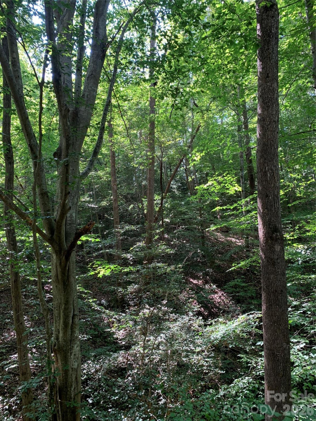 1800 Hilferty Road - Photo 16