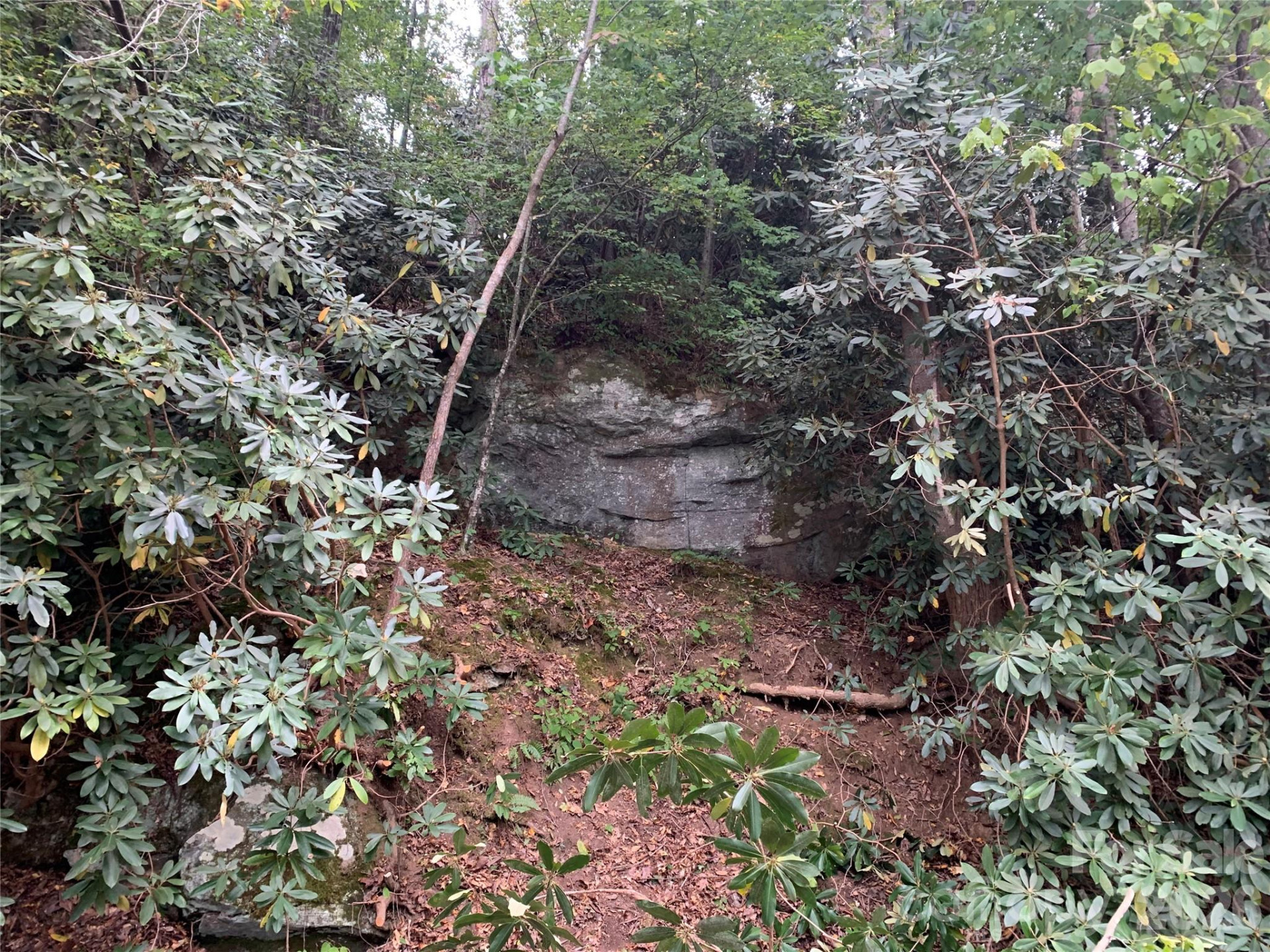 1800 Hilferty Road - Photo 17