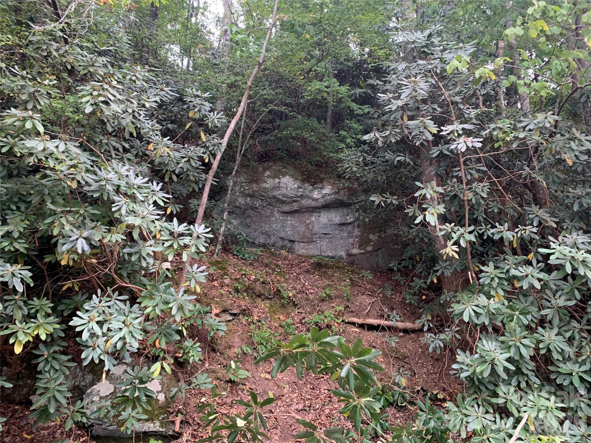 1800 Hilferty Road - Photo 17