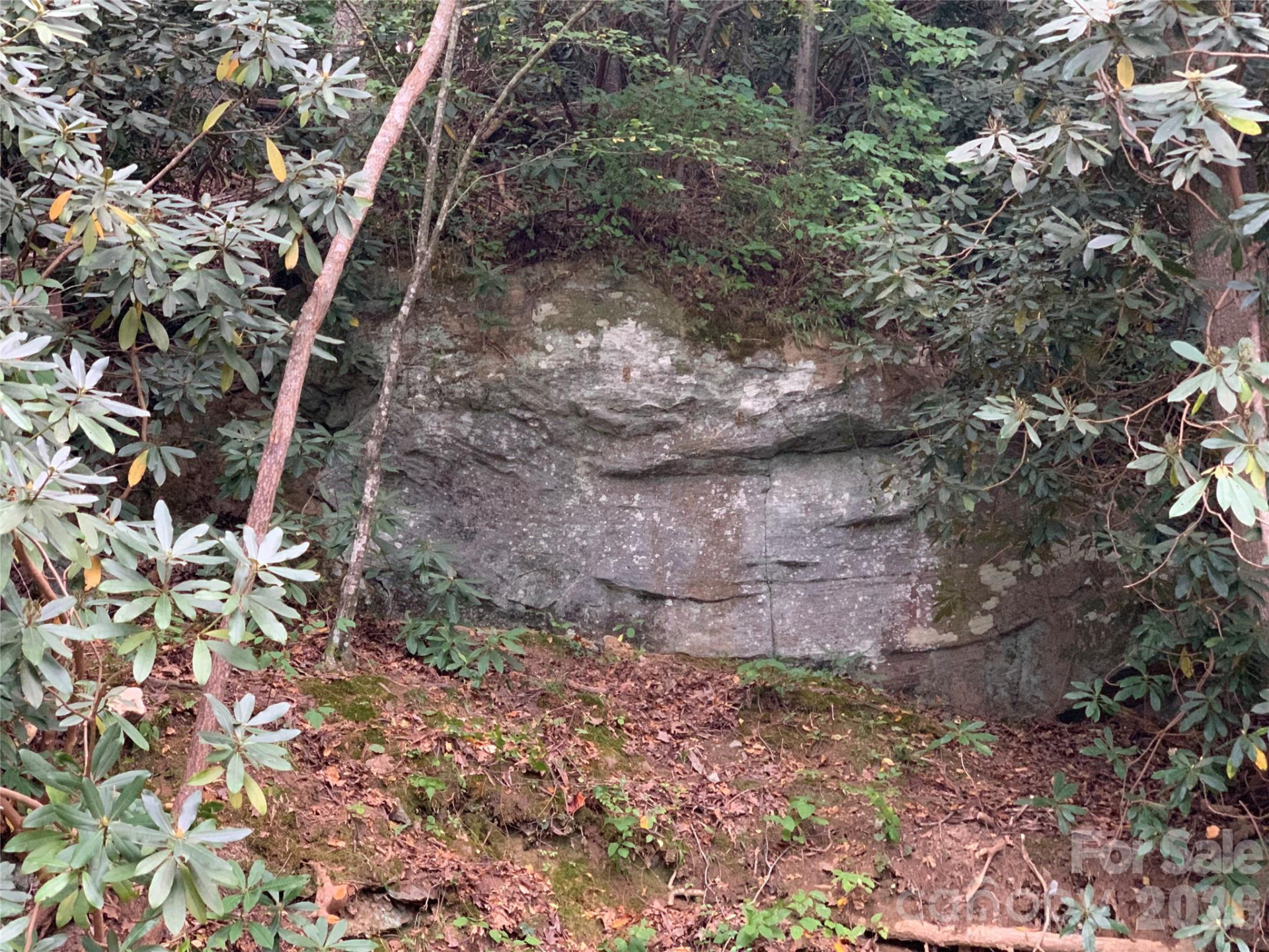 1800 Hilferty Road - Photo 18