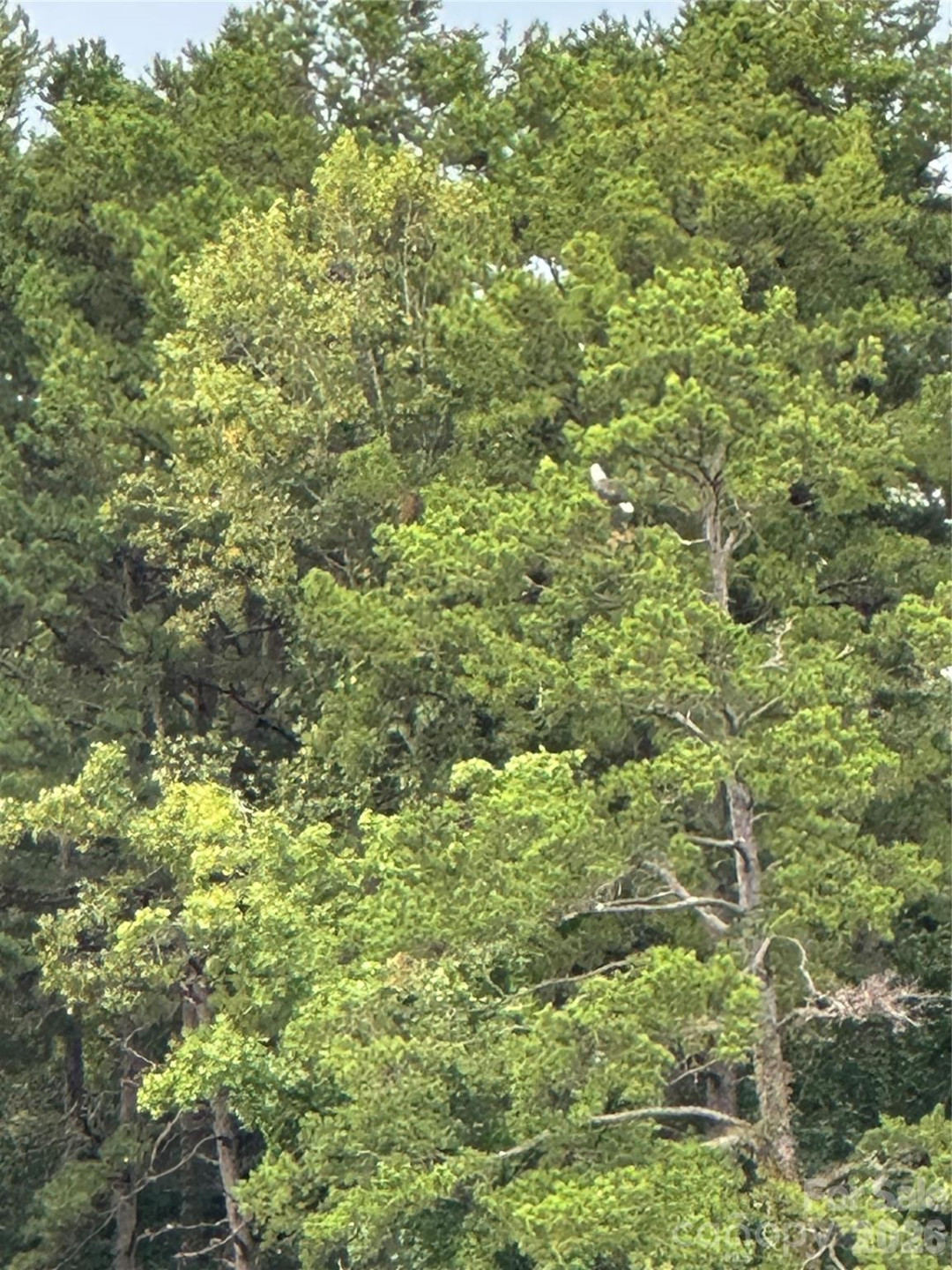 1800 Hilferty Road - Photo 19