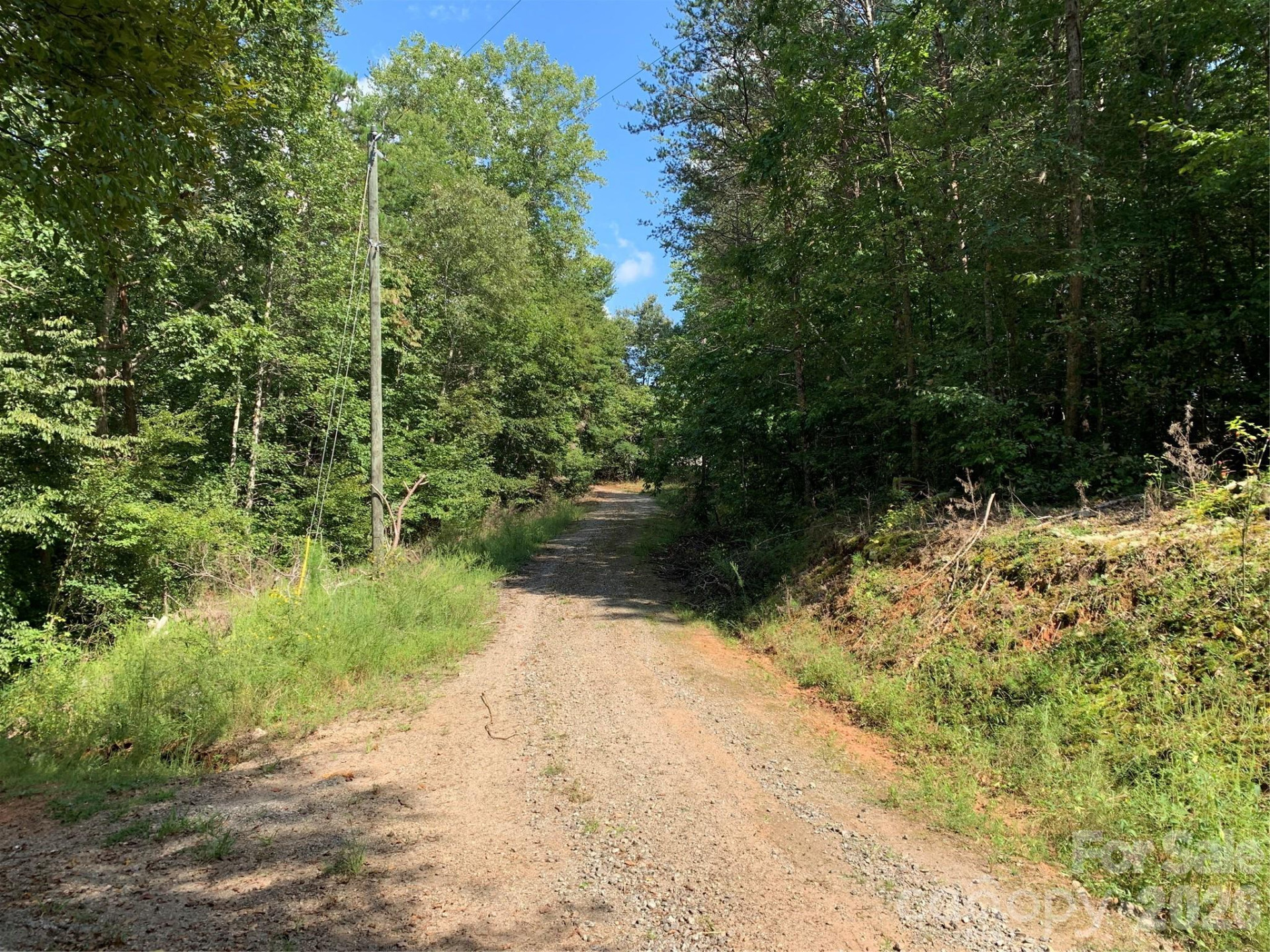 1800 Hilferty Road - Photo 7