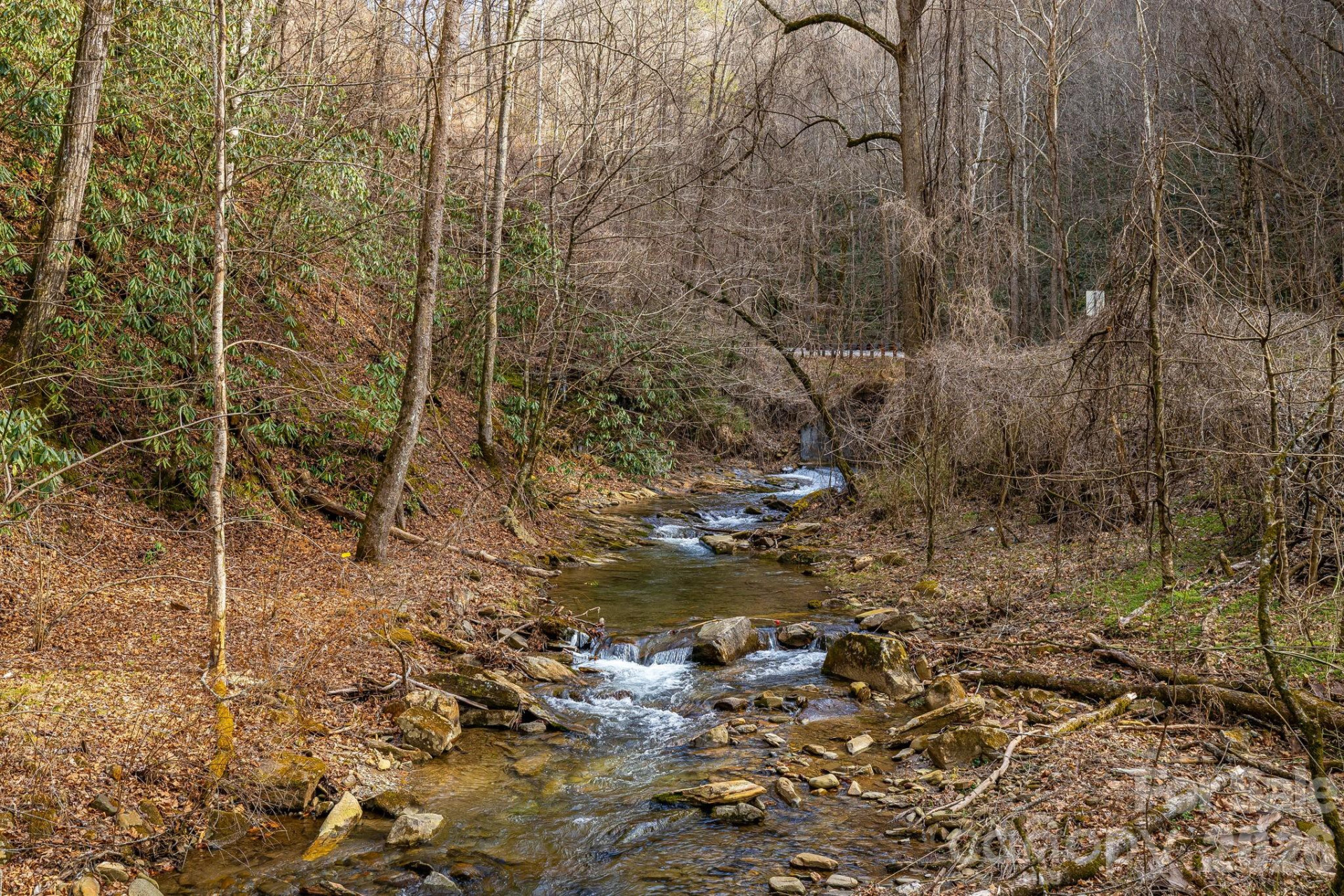 12730 Hwy 19 W None - Photo 6