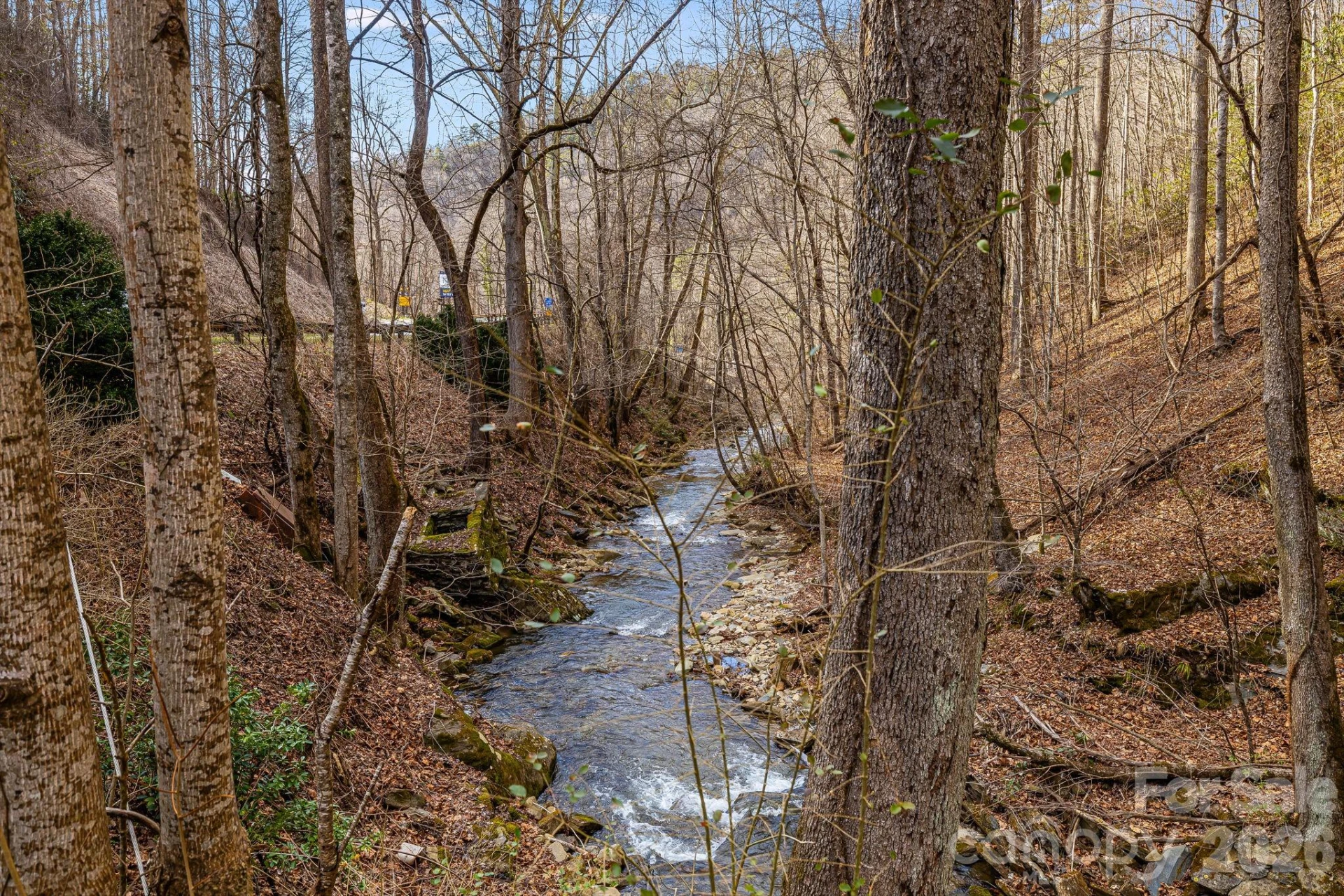 12730 Hwy 19 W None - Photo 7