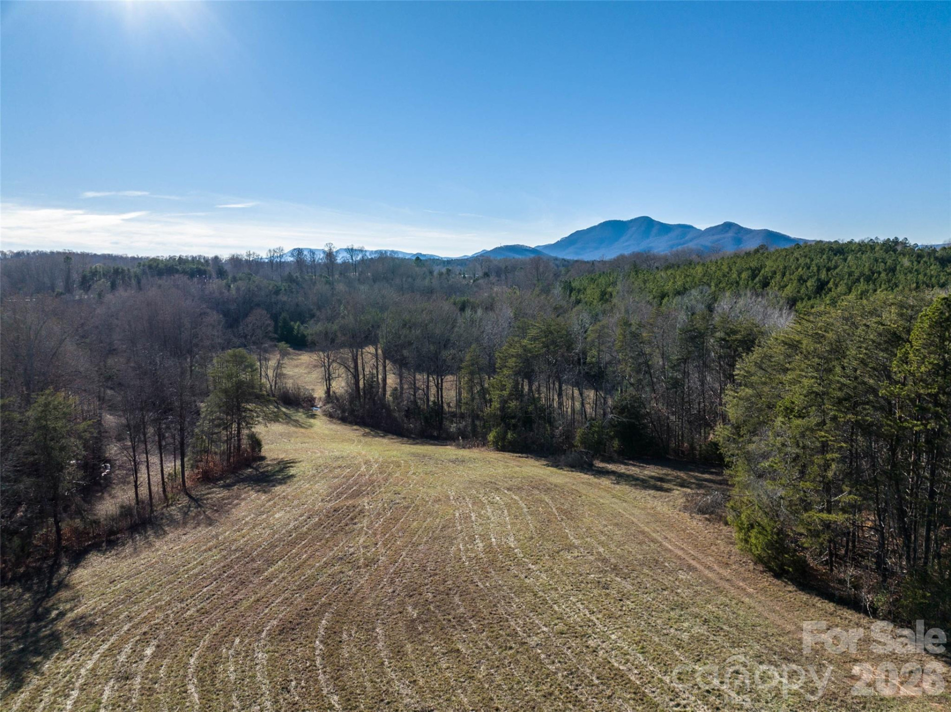 Lot 48.1 AR Thompson Road - Photo 2