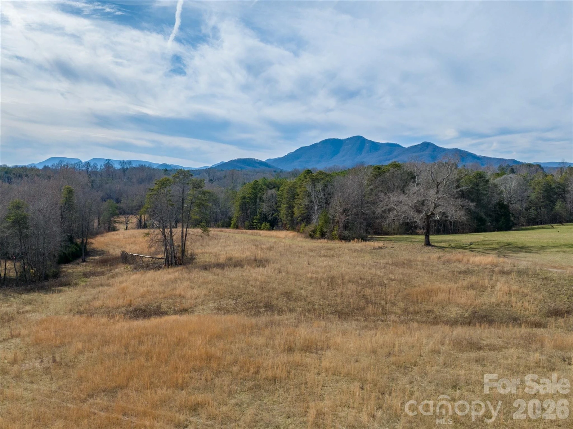 Lot 48.1 AR Thompson Road - Photo 12