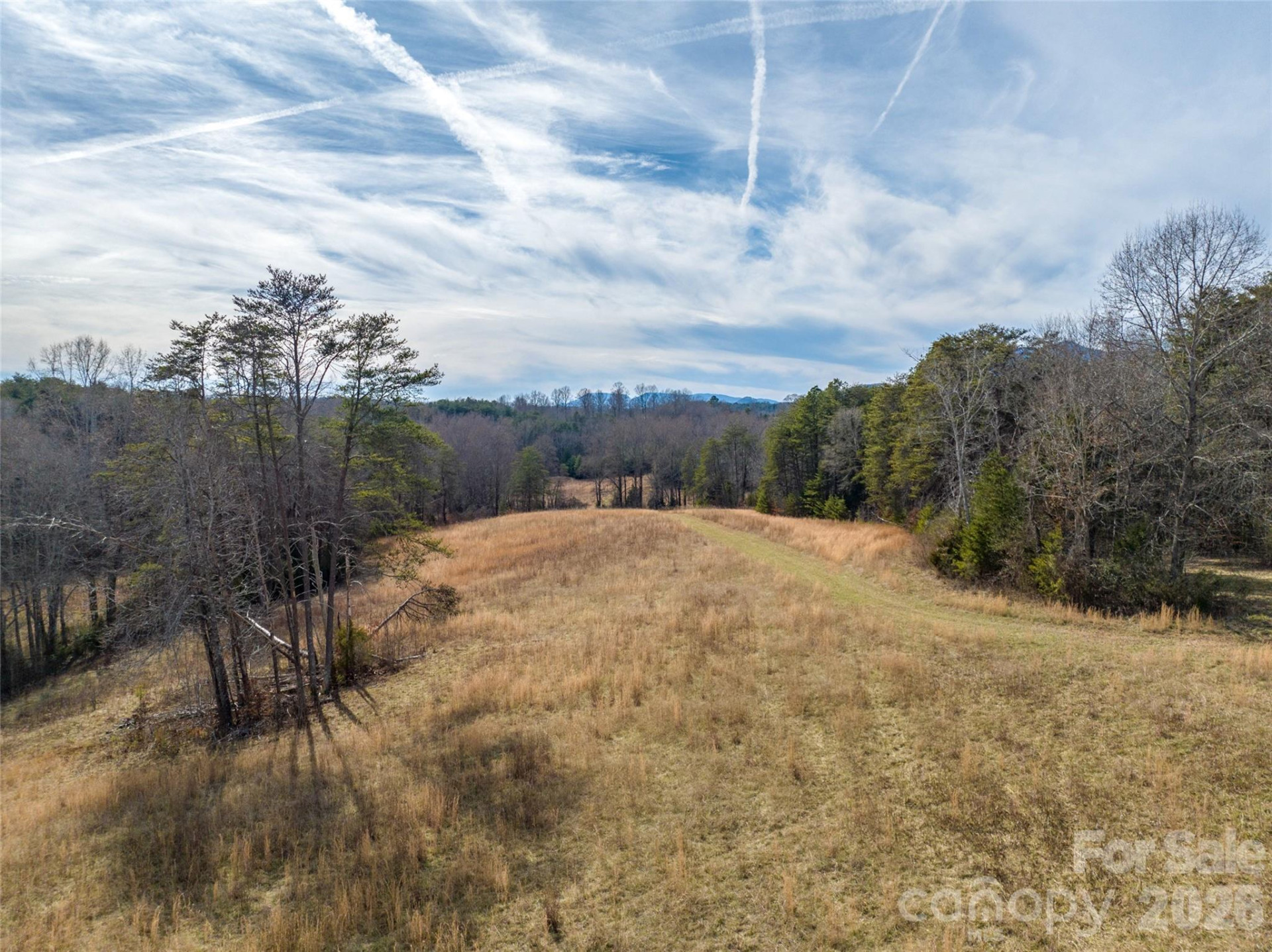 Lot 48.1 AR Thompson Road - Photo 13