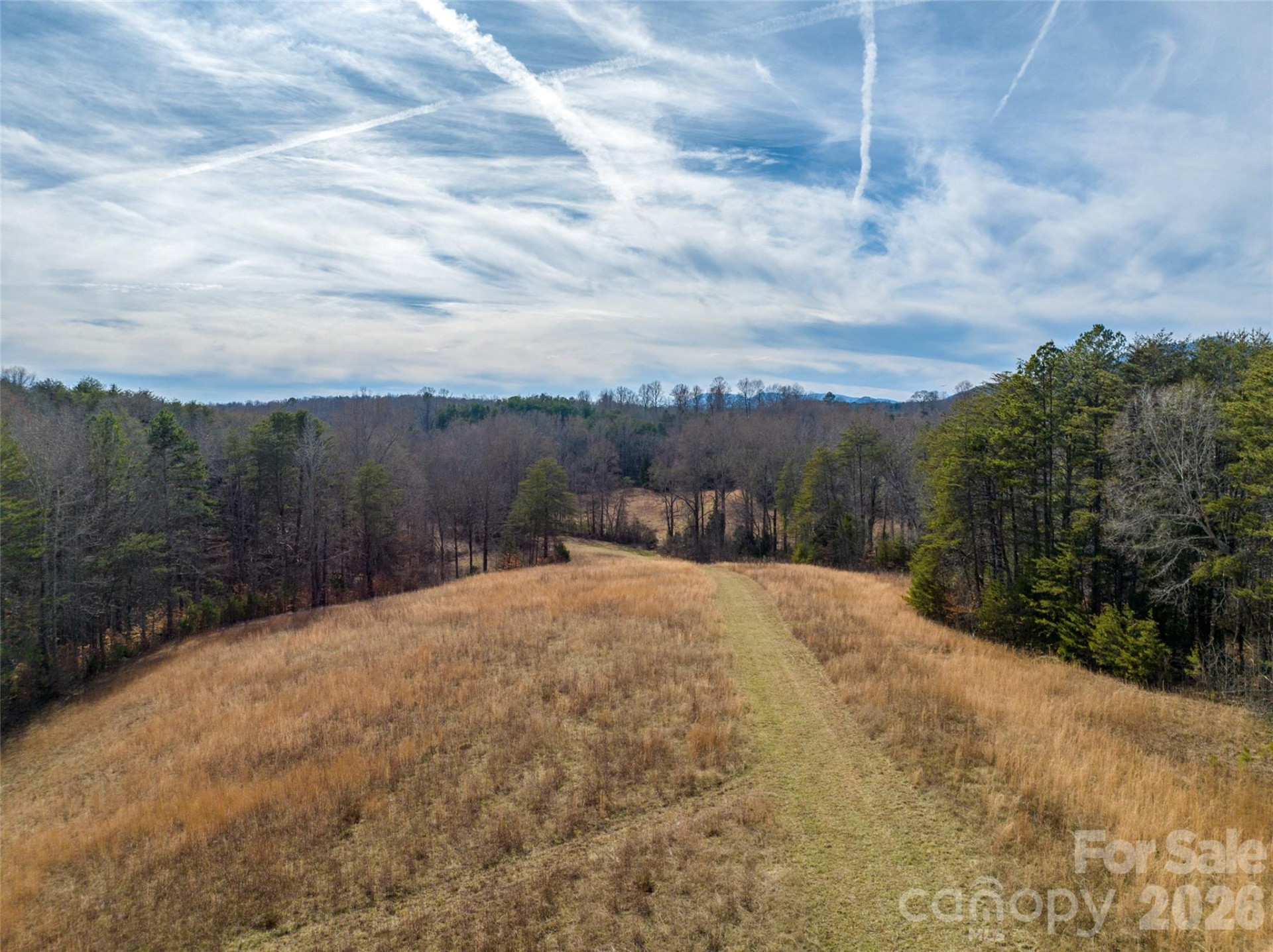 Lot 48.1 AR Thompson Road - Photo 14