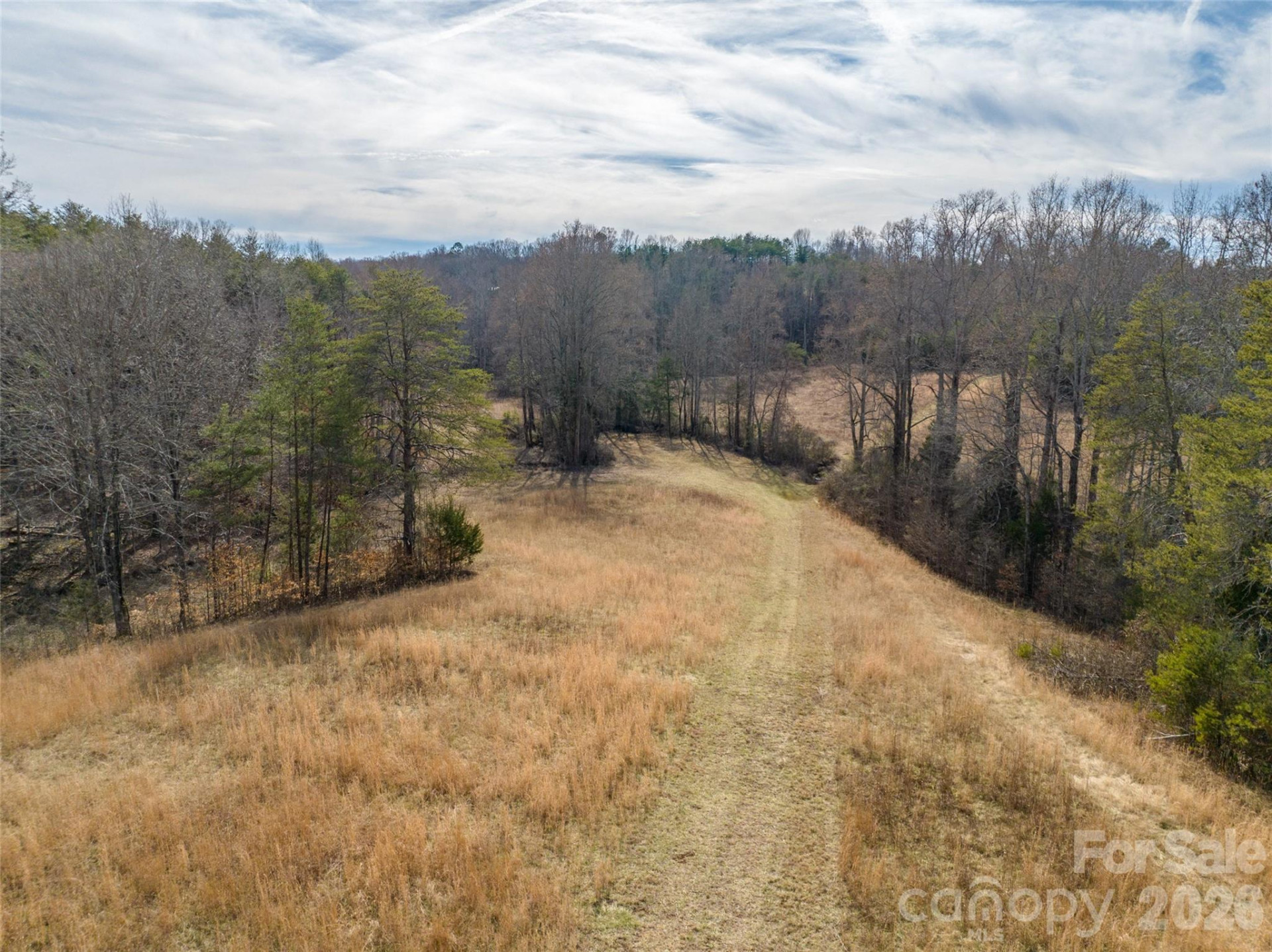 Lot 48.1 AR Thompson Road - Photo 15