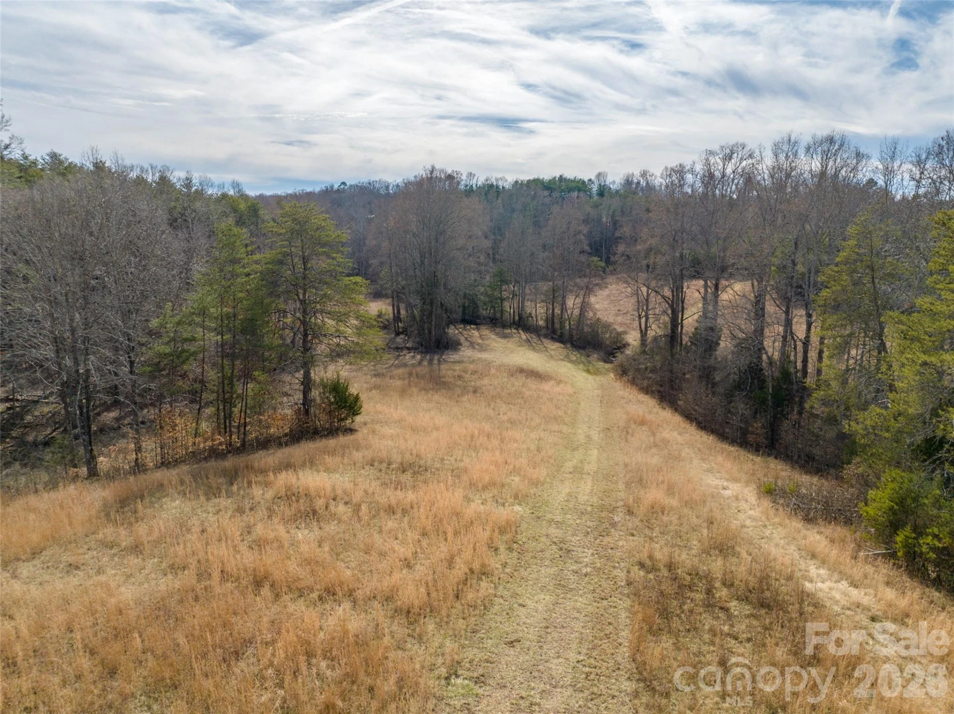 Lot 48.1 AR Thompson Road - Photo 15