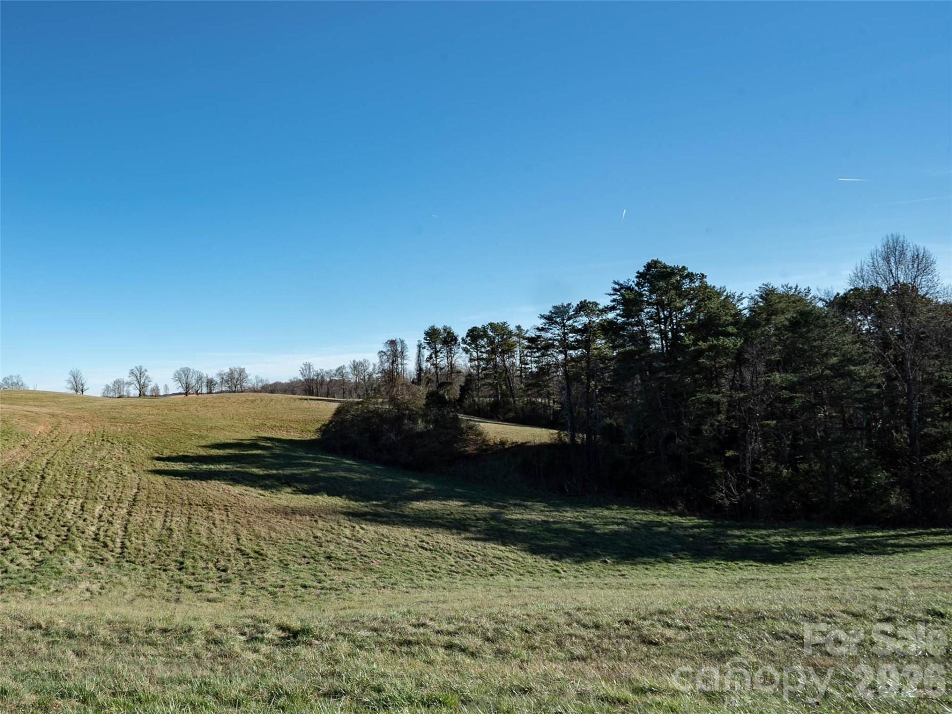 Lot 48.1 AR Thompson Road - Photo 3
