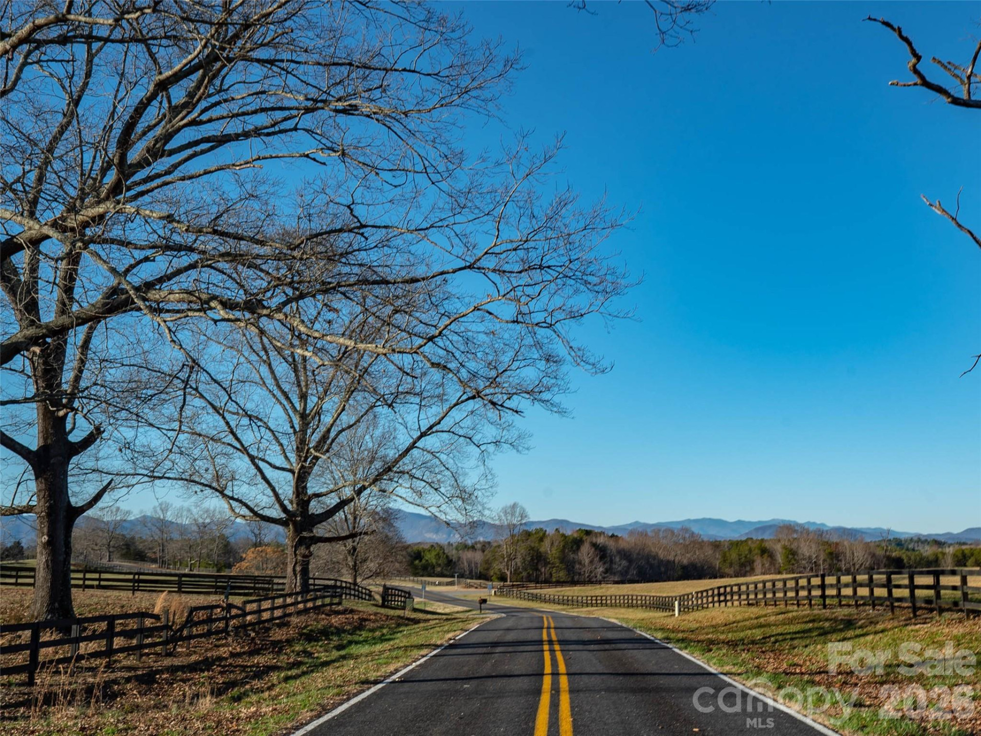 Lot 48.1 AR Thompson Road - Photo 4