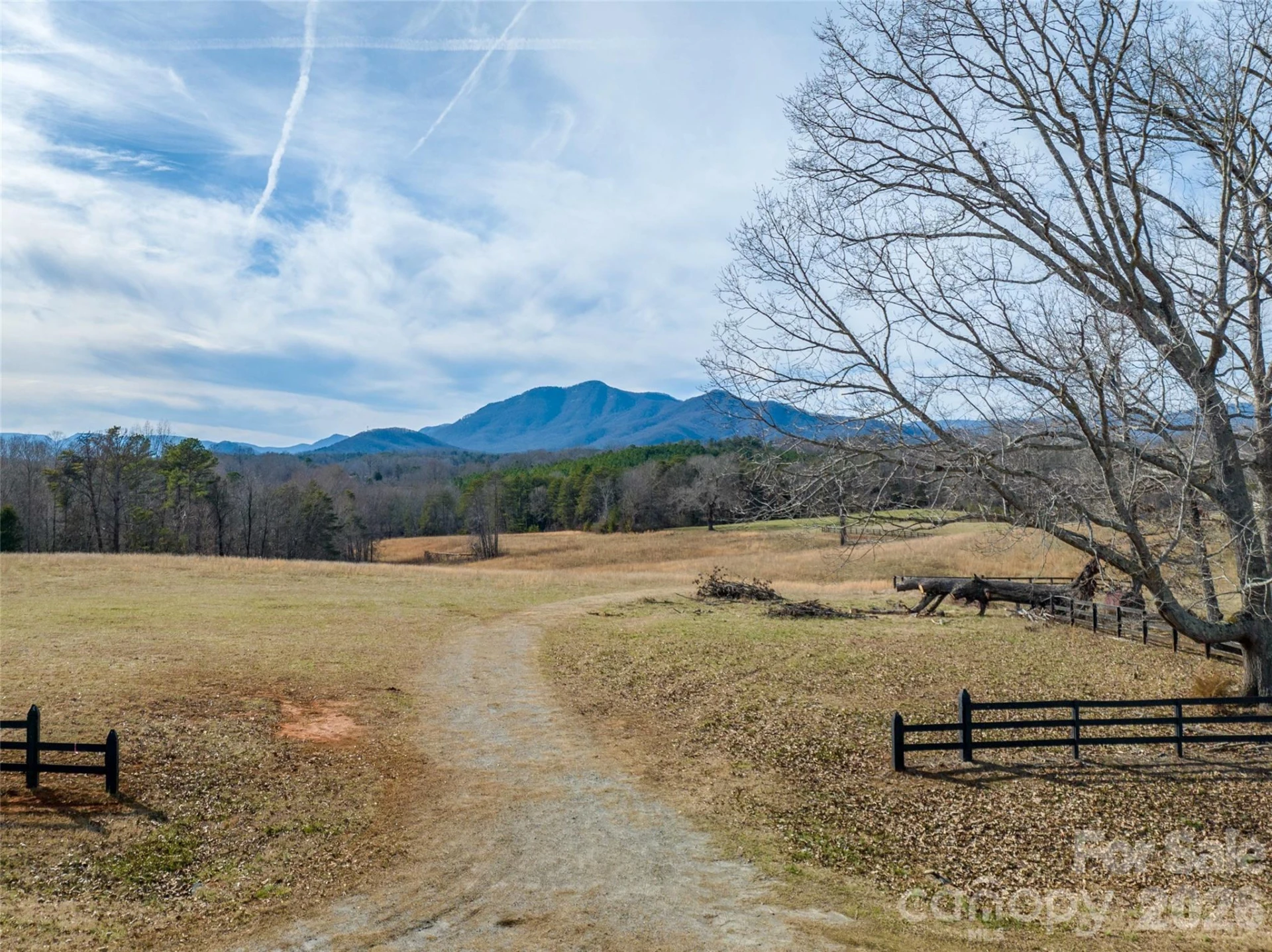 Lot 48.1 AR Thompson Road - Photo 8