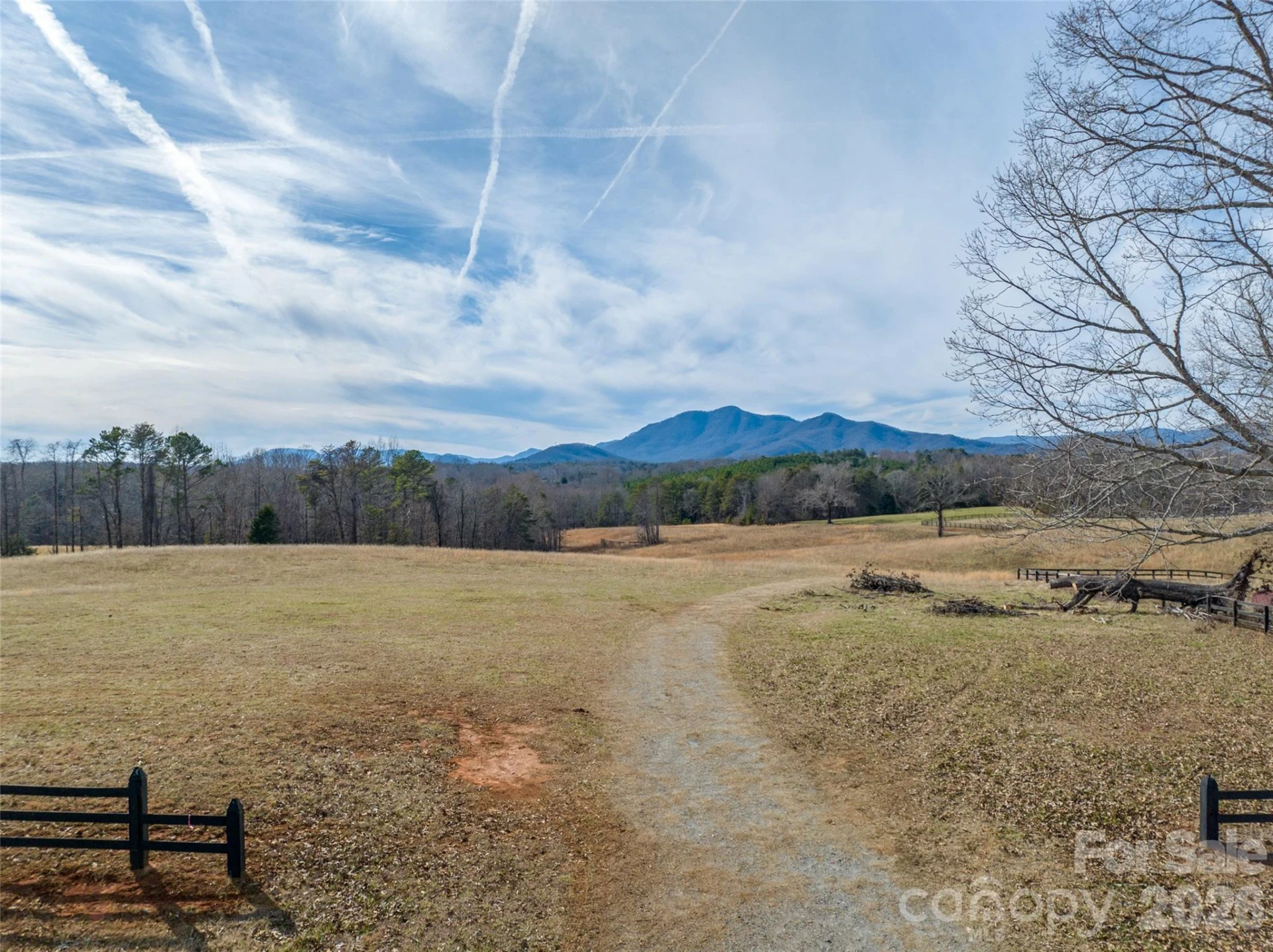 Lot 48.1 AR Thompson Road - Photo 9