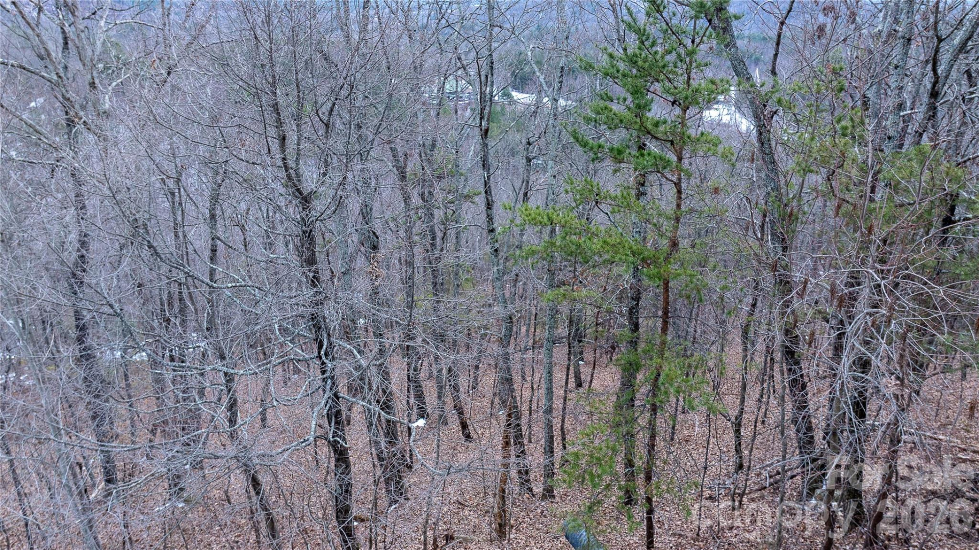 3618 Appian Way - Photo 9