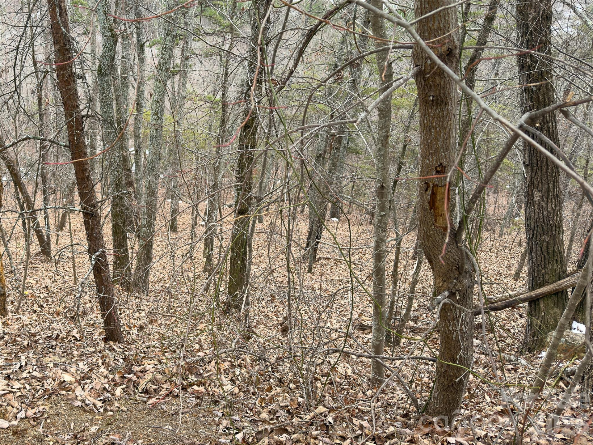 3618 Appian Way - Photo 10