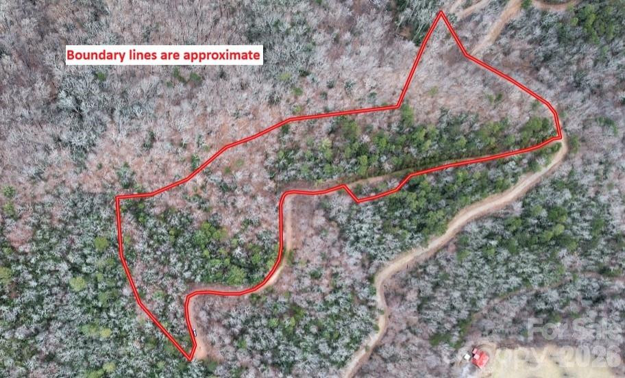 0 Betts Branch Road - Photo 2