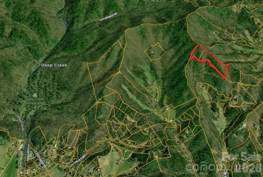 0 Betts Branch Road - Photo 12