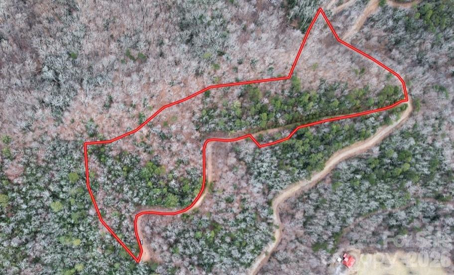 0 Betts Branch Road - Photo 13