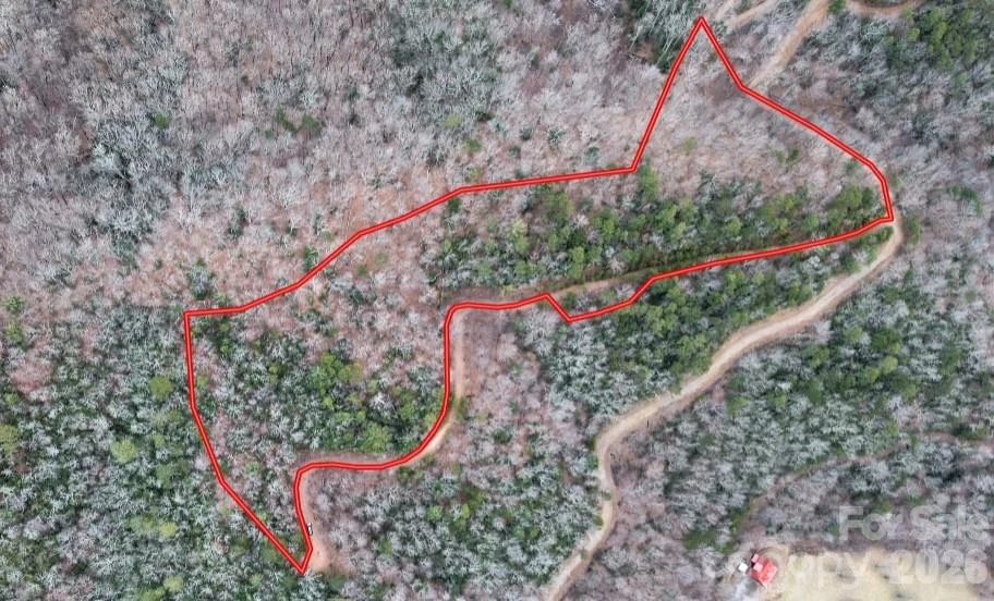 0 Betts Branch Road - Photo 13