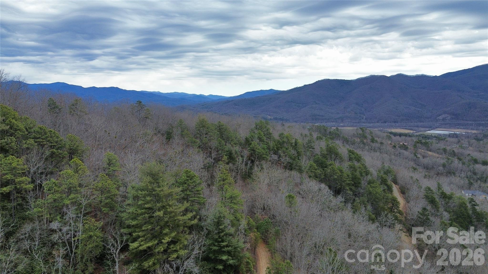 0 Betts Branch Road - Photo 14