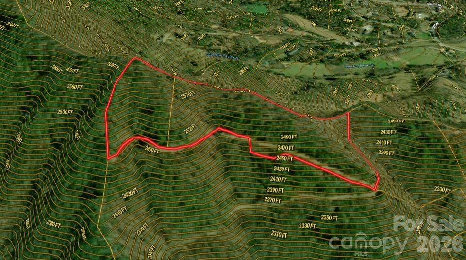 0 Betts Branch Road - Photo 3