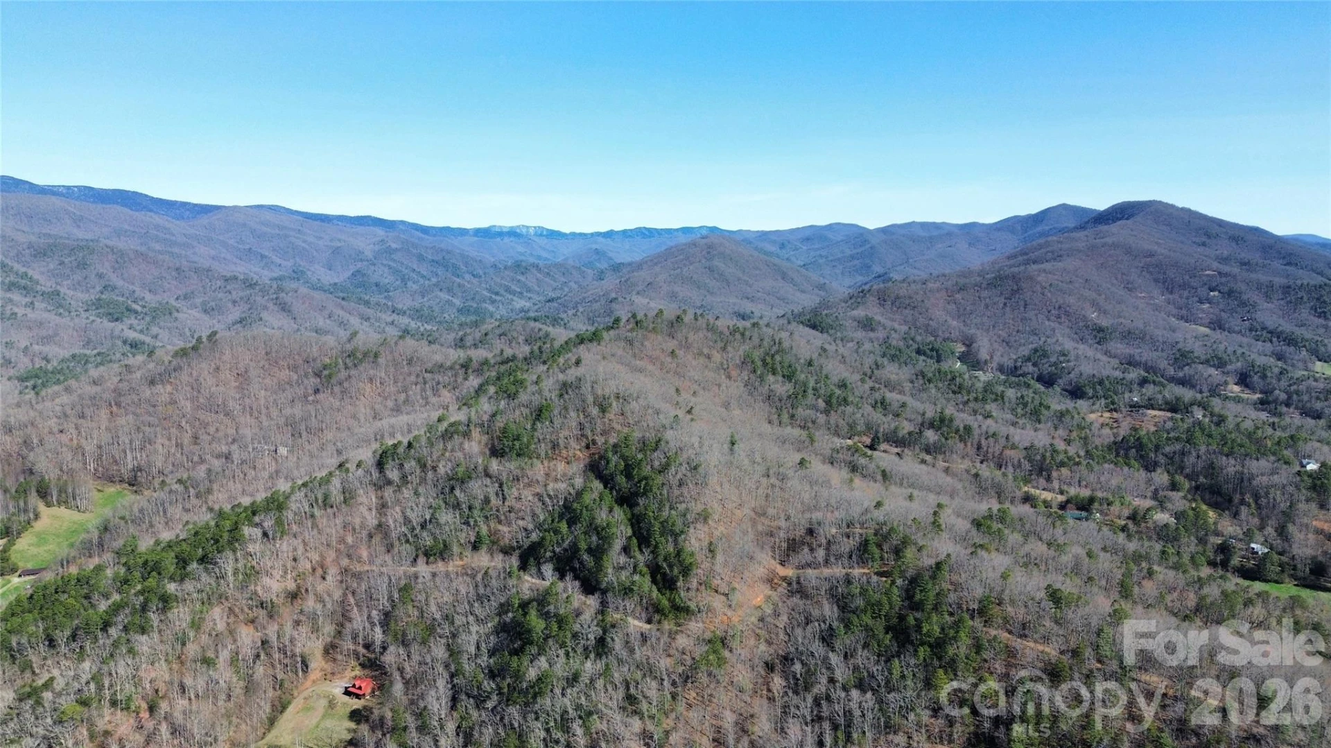 0 Betts Branch Road - Photo 4