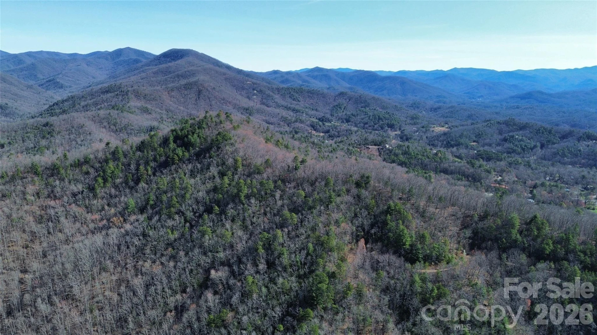 0 Betts Branch Road - Photo 5