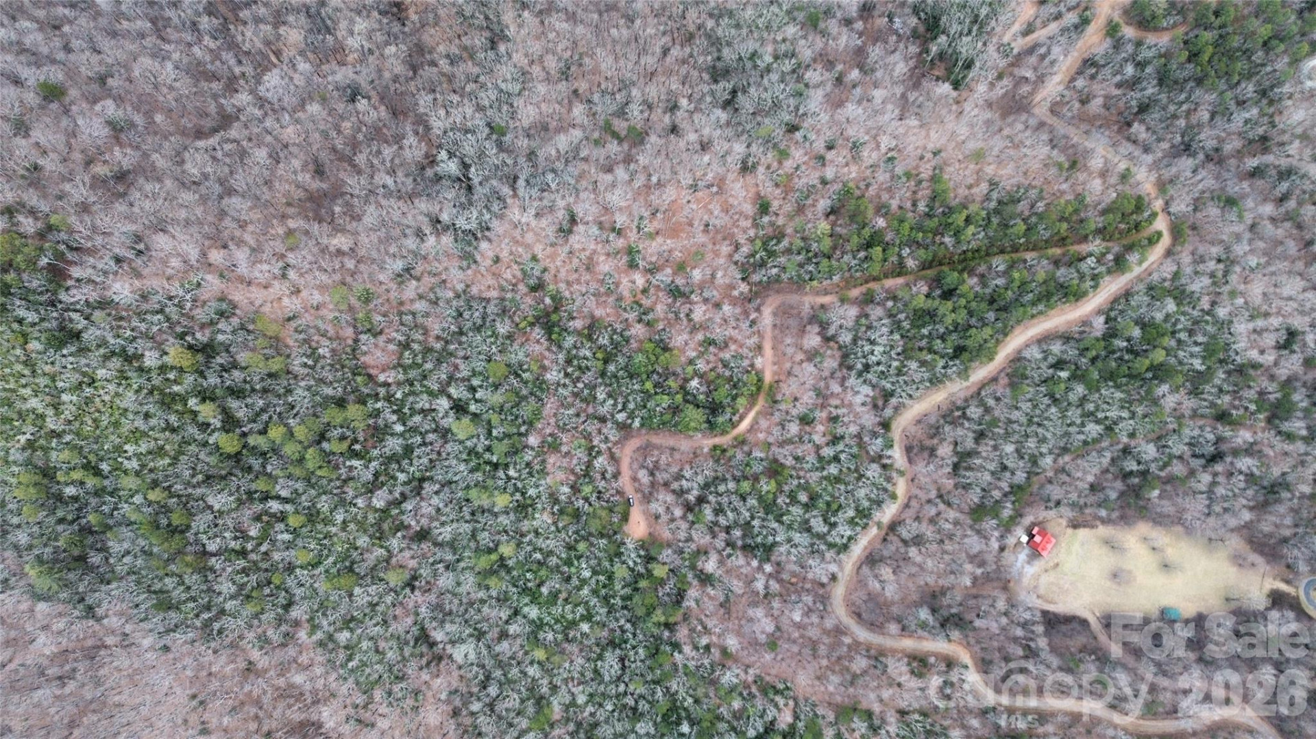 0 Betts Branch Road - Photo 7