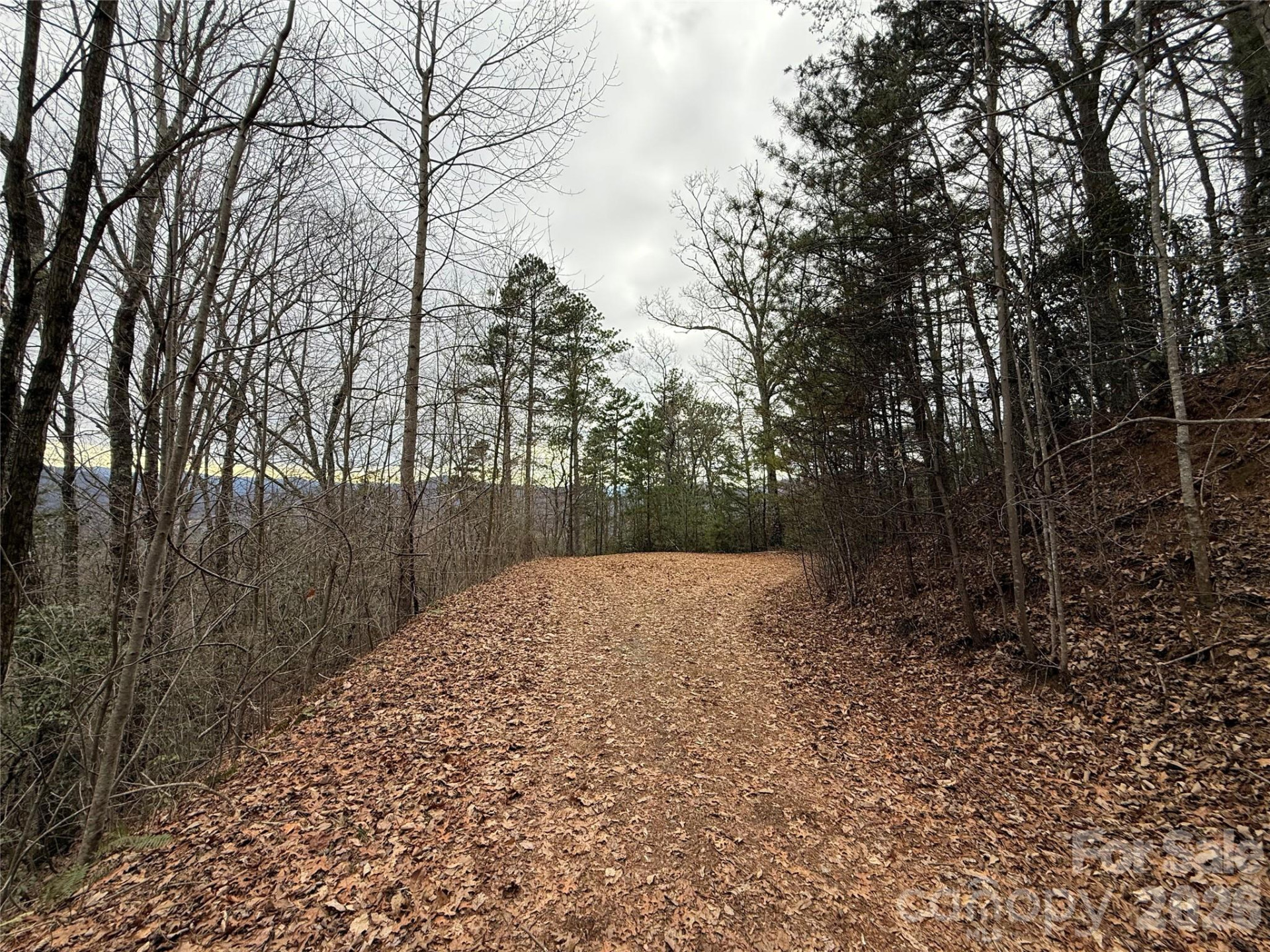 0 Betts Branch Road - Photo 9