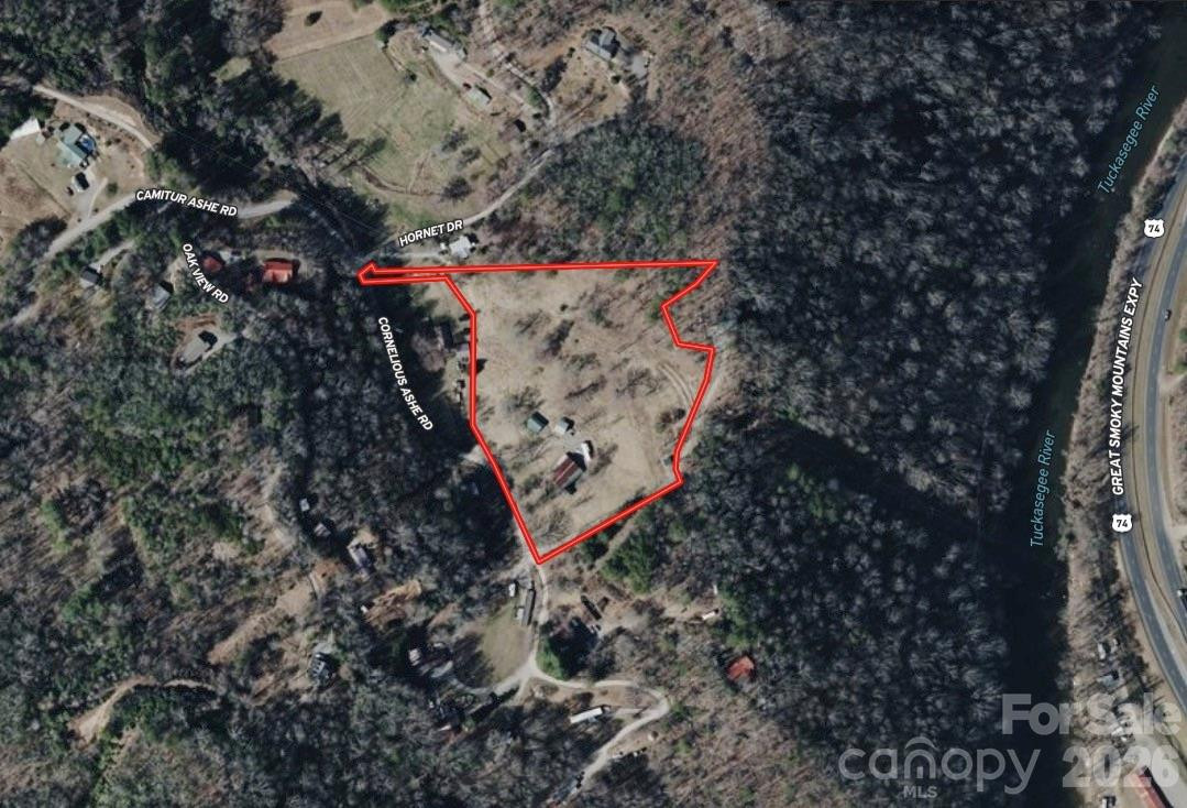 9999 Cornelious Ashe Road - Photo 3