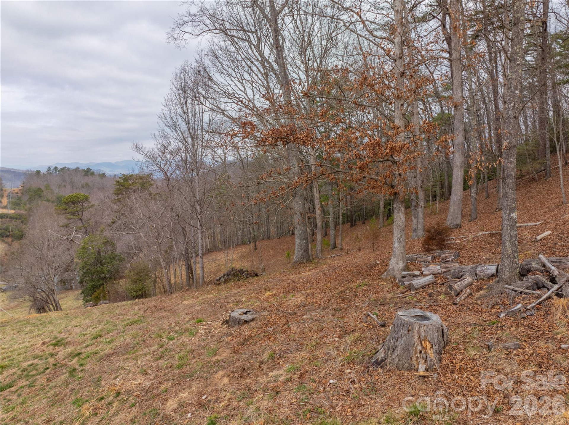 9999 Cornelious Ashe Road - Photo 29