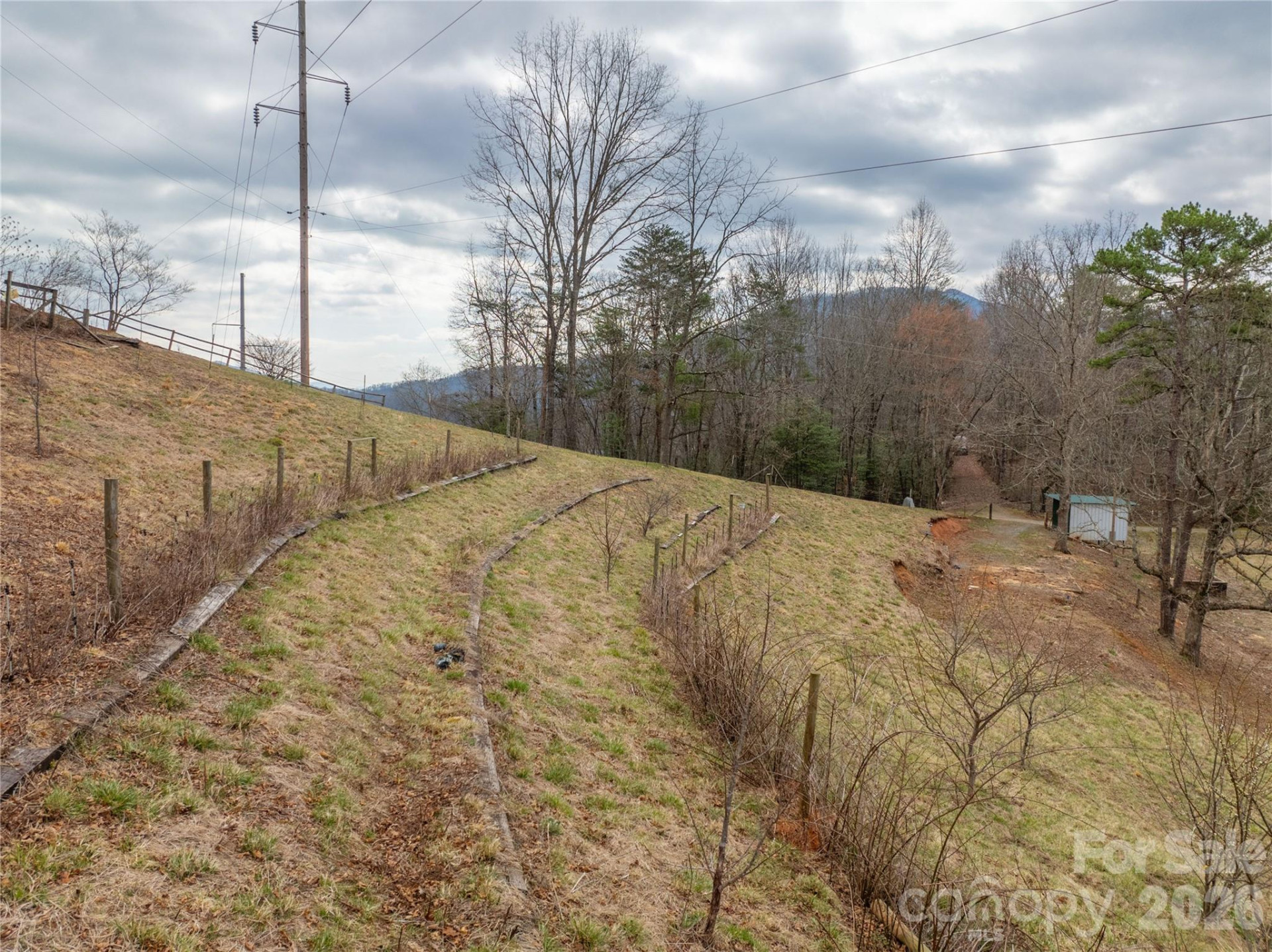 9999 Cornelious Ashe Road - Photo 31