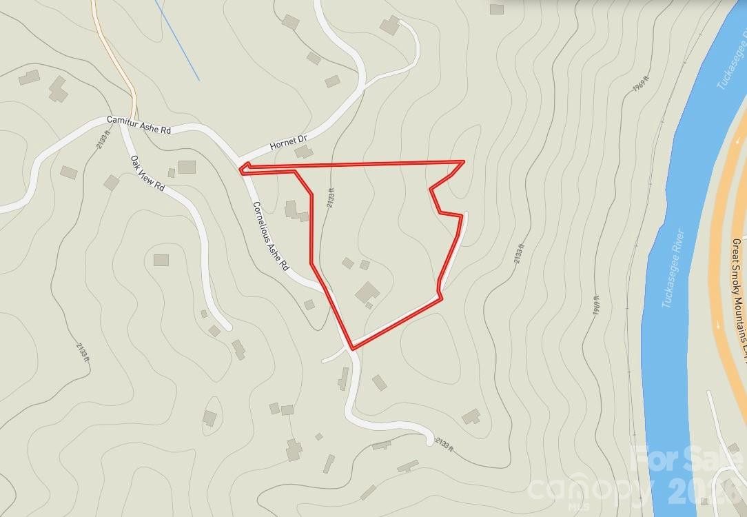 9999 Cornelious Ashe Road - Photo 33