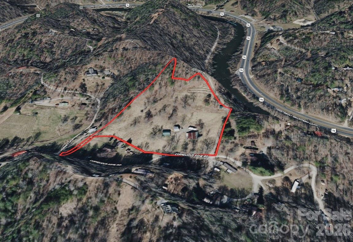 9999 Cornelious Ashe Road - Photo 35