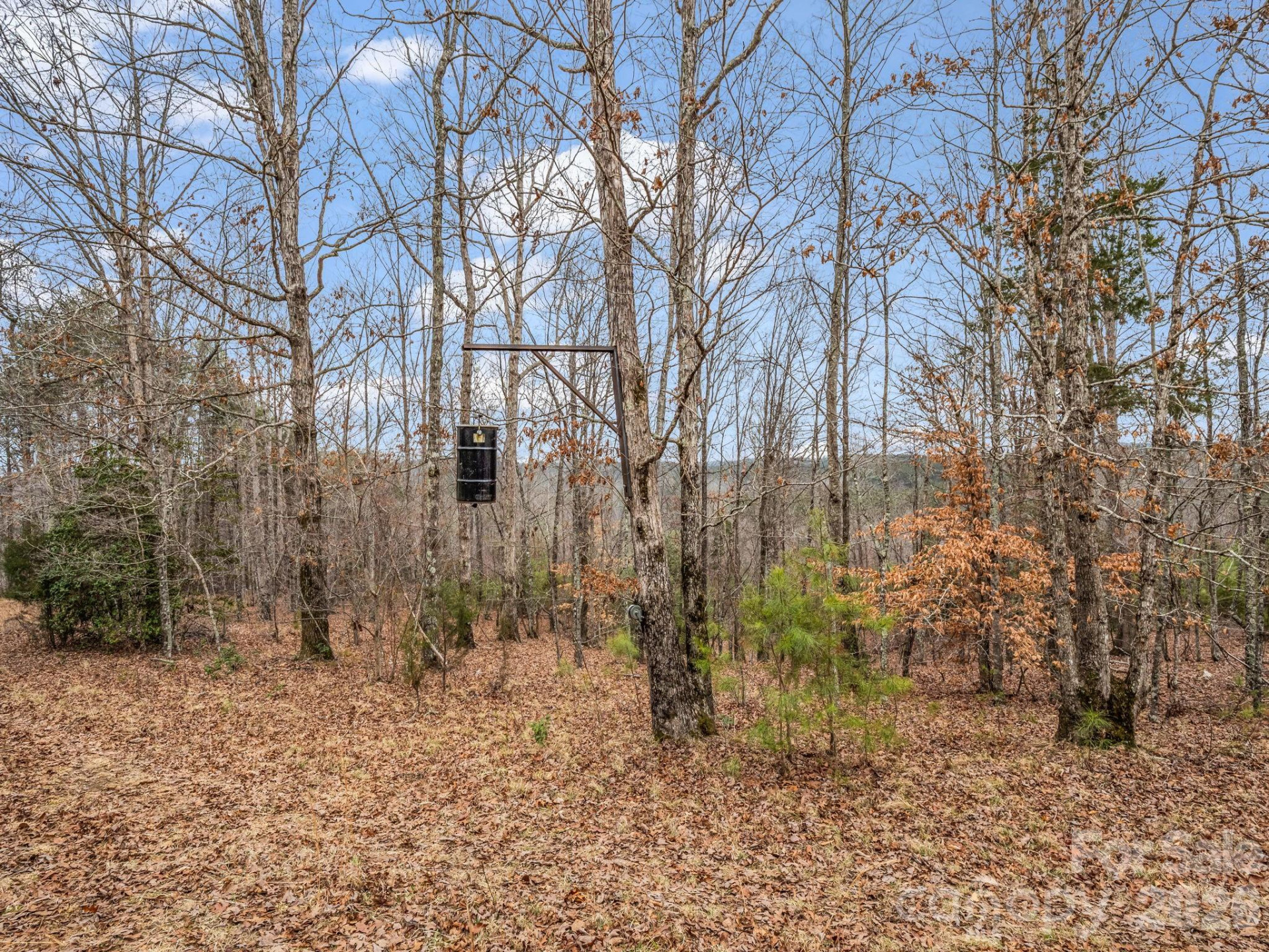 0 River Road - Photo 12