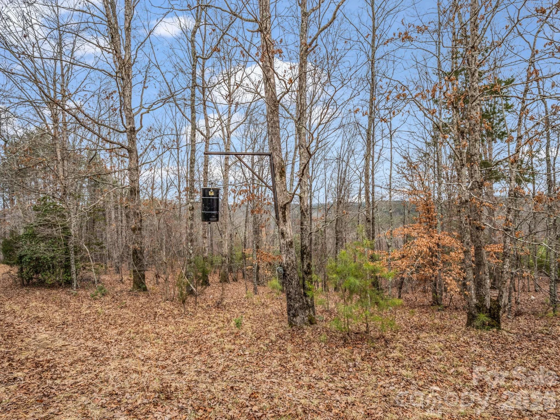 0 River Road - Photo 12