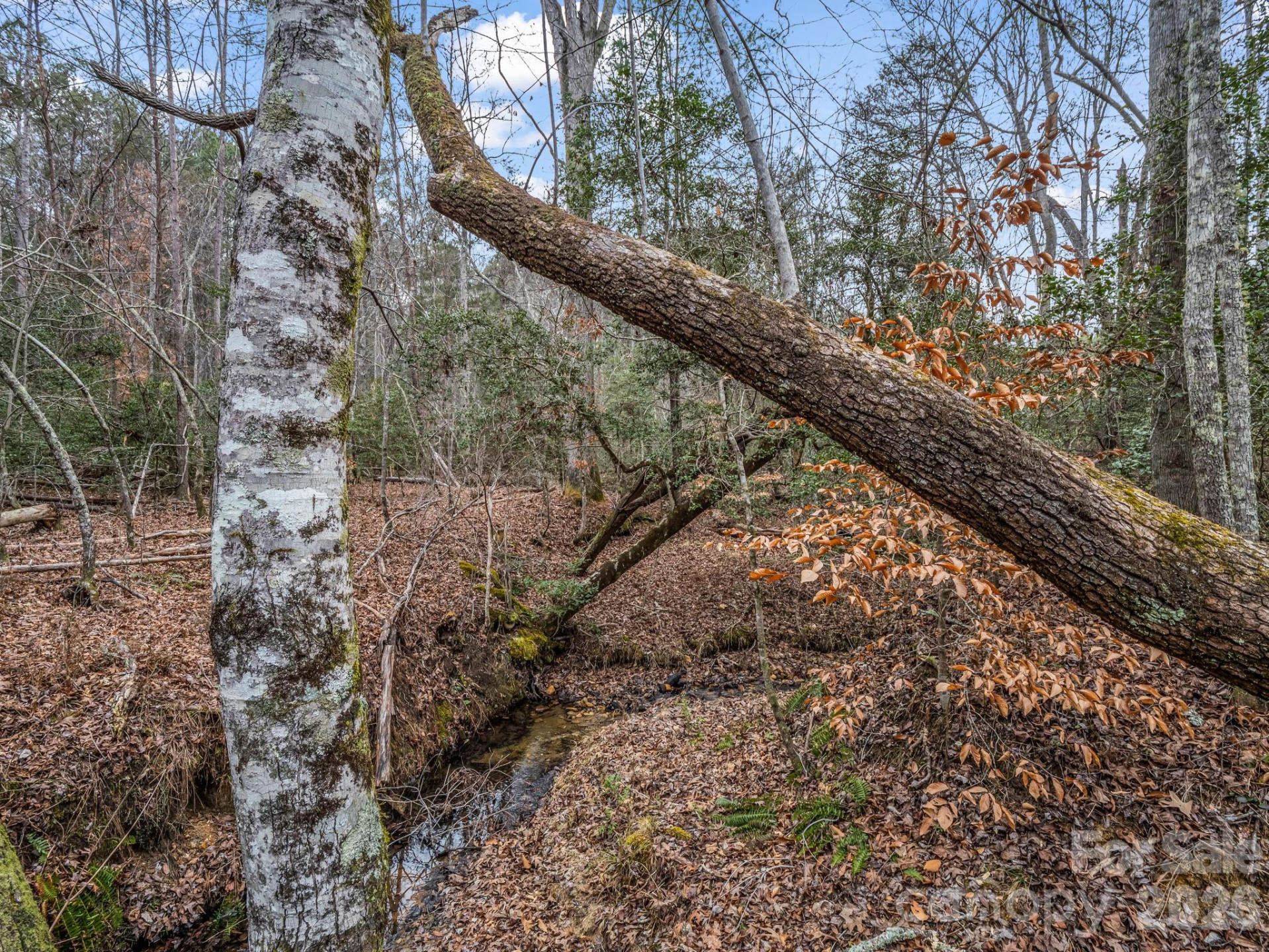 0 River Road - Photo 20