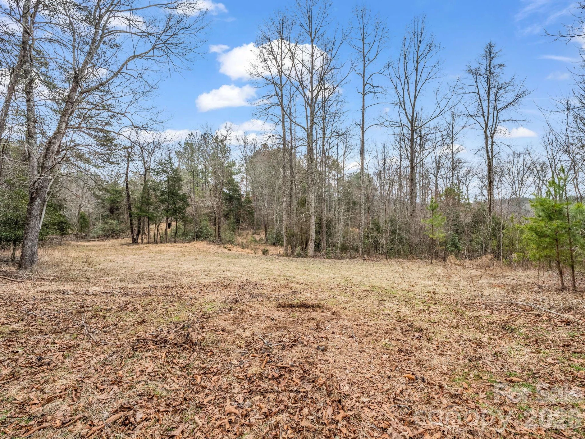 0 River Road - Photo 21