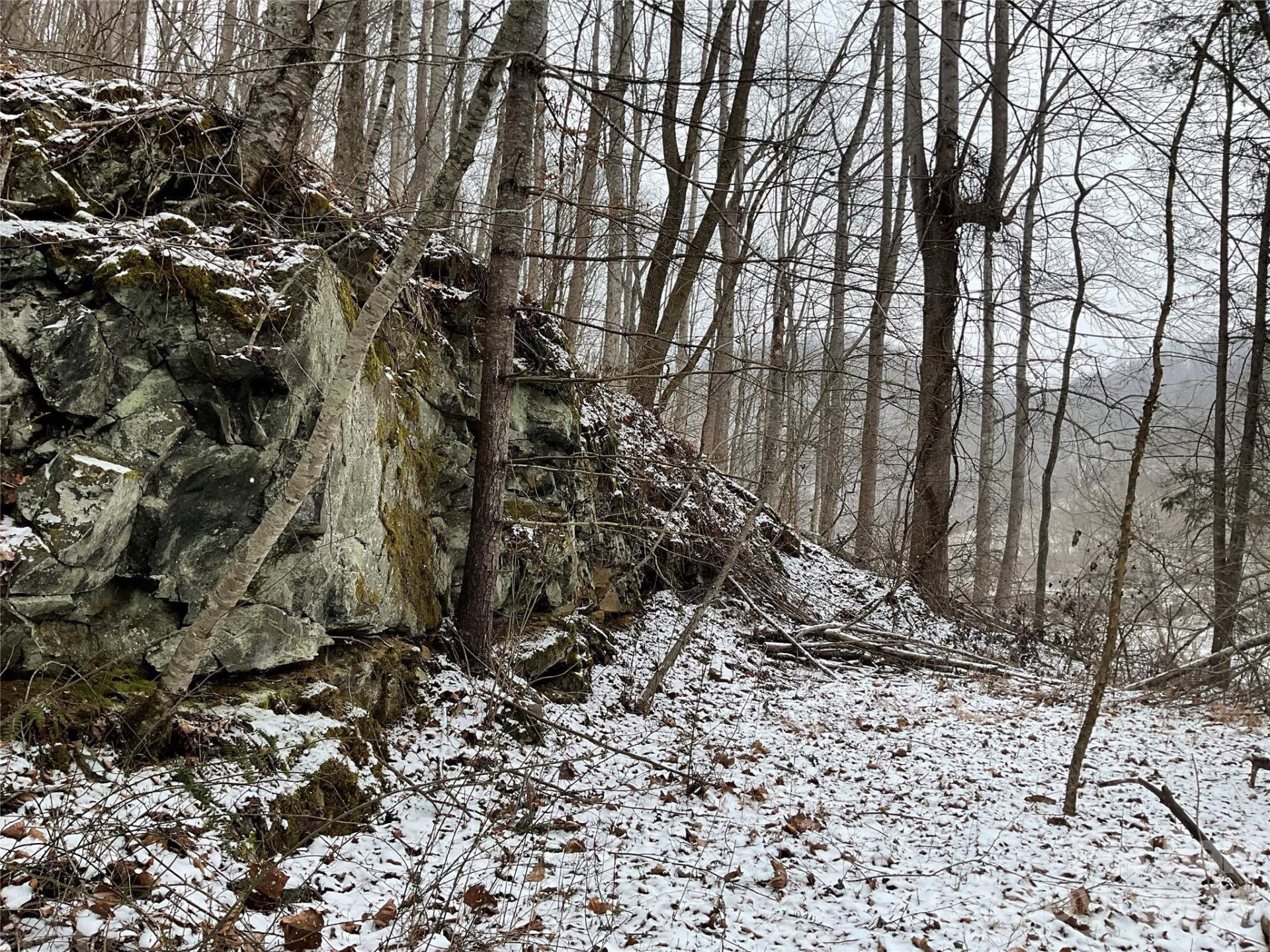 0000 NC Hwy 197 Highway - Photo 12